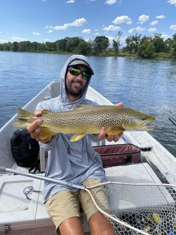 Fly fishing guide holding big brown trout on the yellowstone river