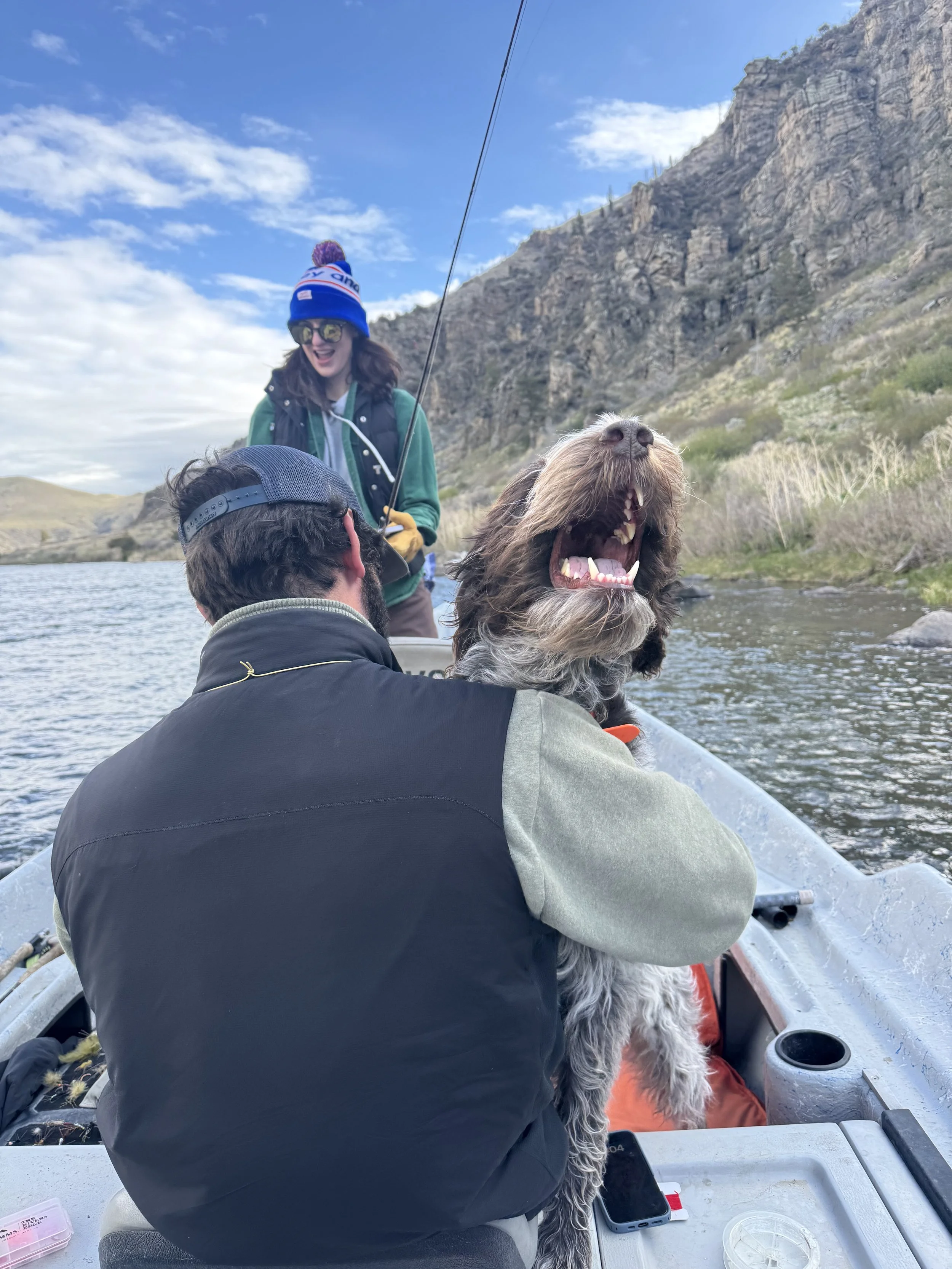 Group guided trip fly fishing trip on the lower Madison River outside of Bozeman Montana