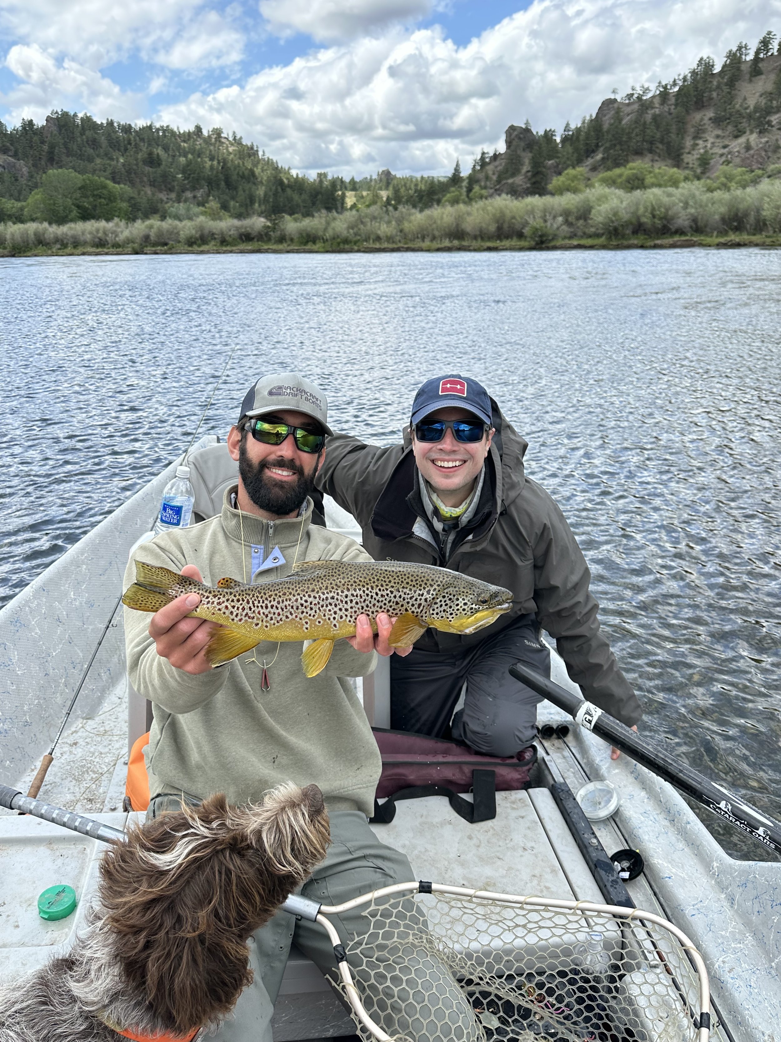Beautiful brown trout held by a fly fishing guide on a guided fly fishing trip