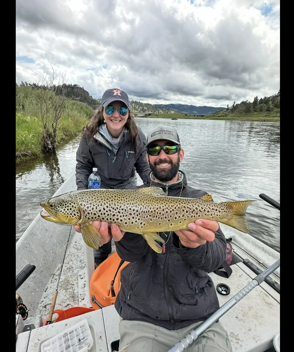 Fly fishing guide from Bozeman holding a brown trout for a client on the Missouri River