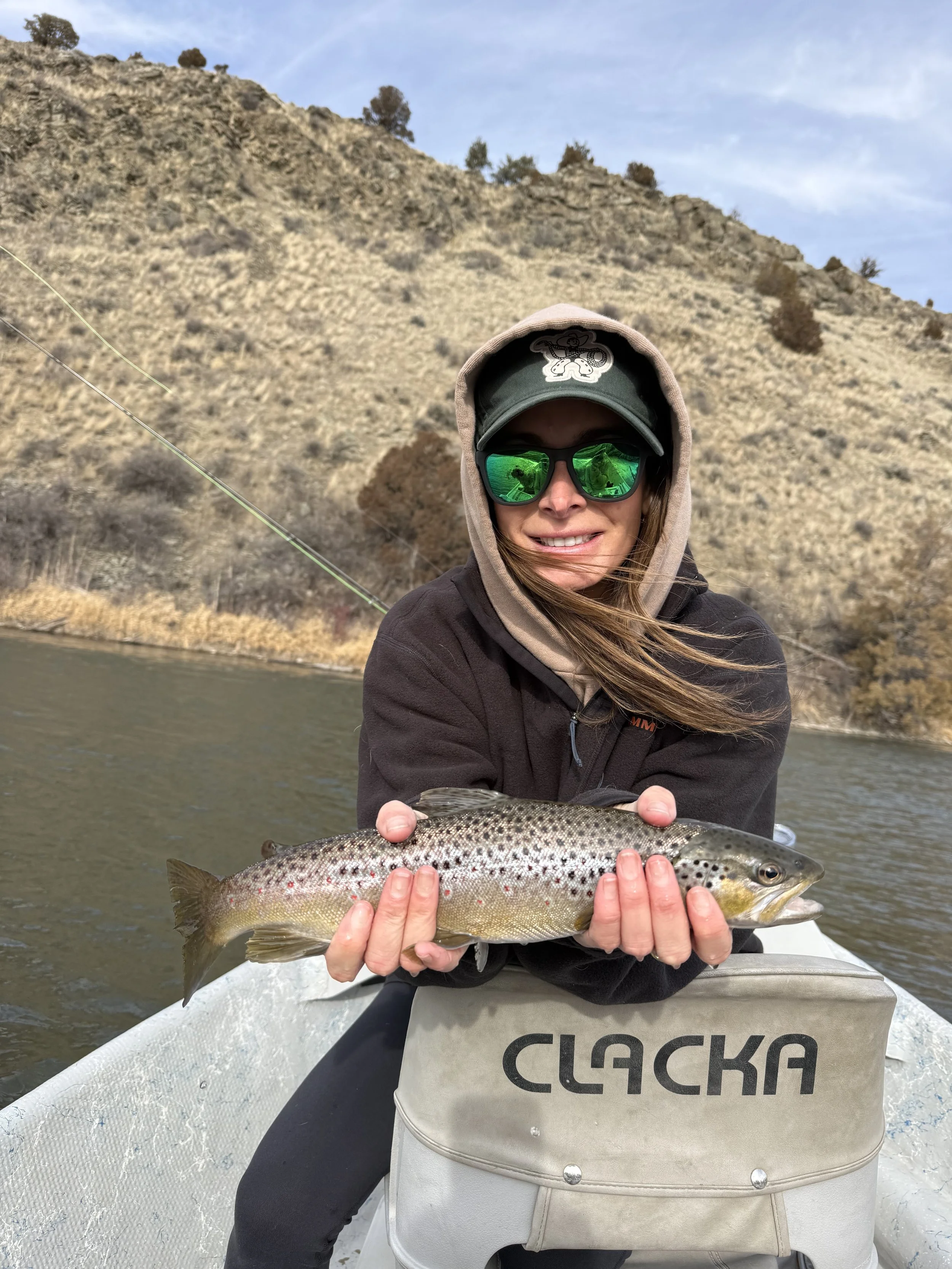 Client holding a brown trout on the Gallatin River