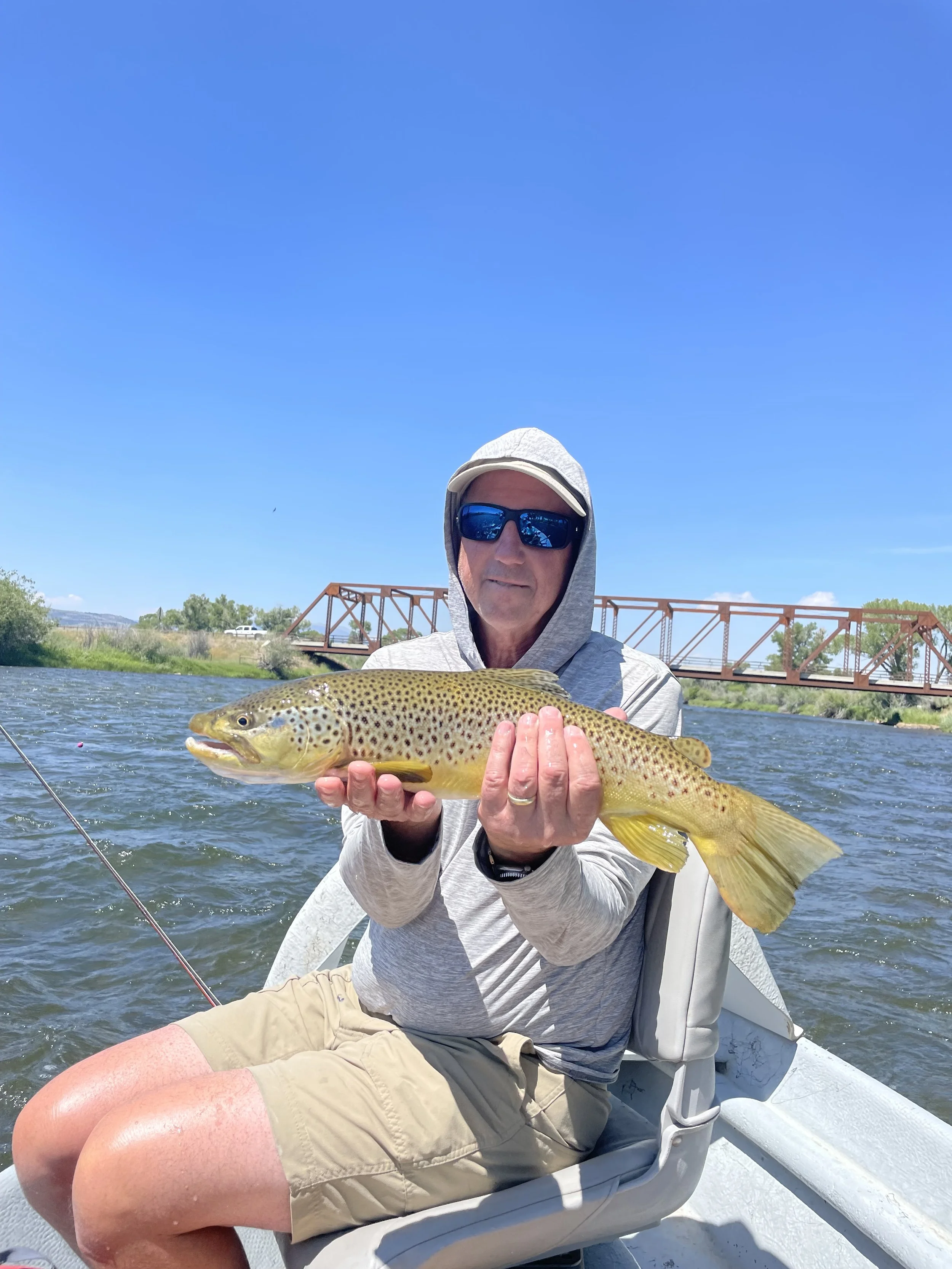 Big brown trout caught on the last cast of the day on the upper Madison River outside of Ennis Montana