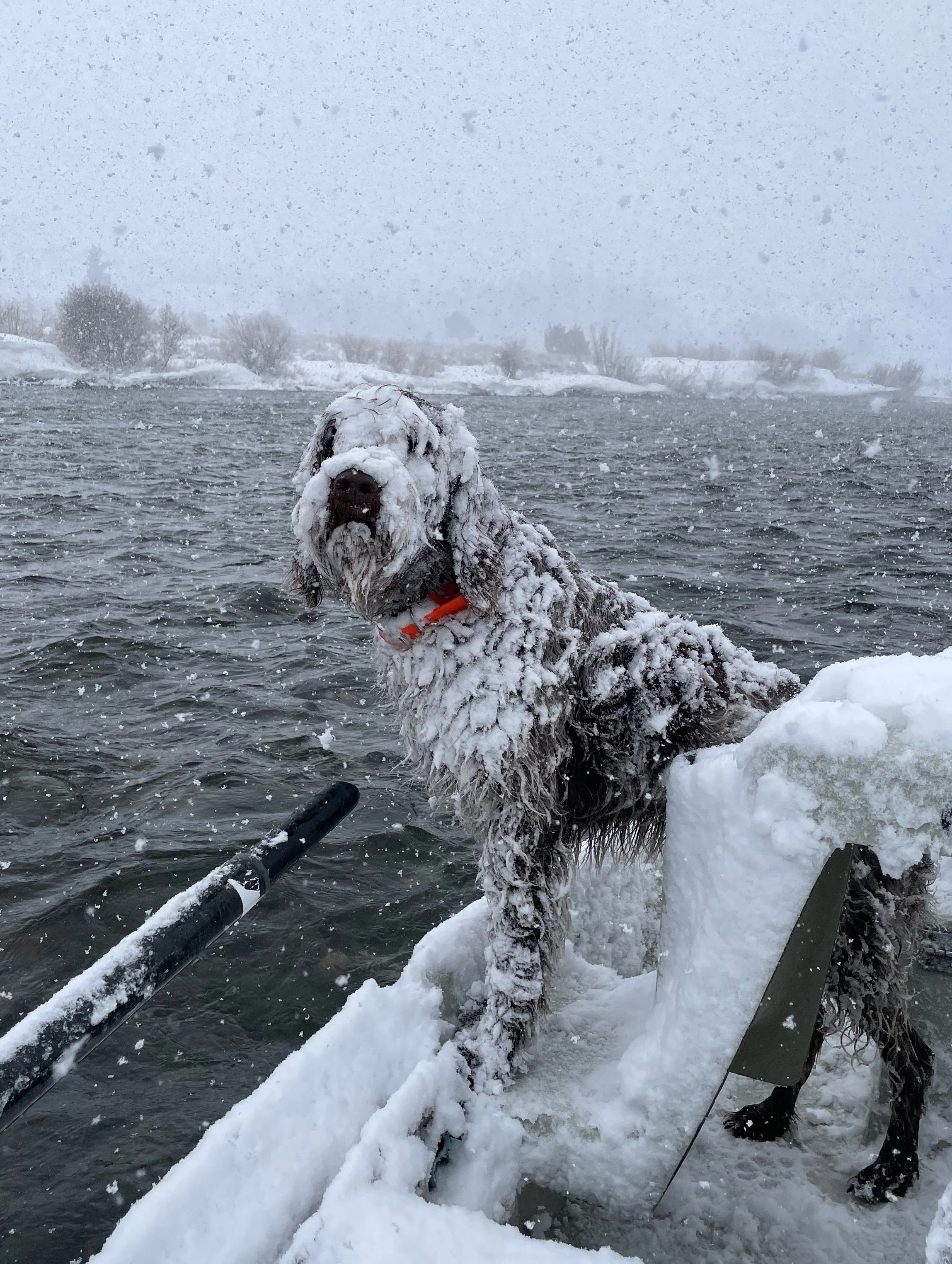 Winter fly fishing in bozeman