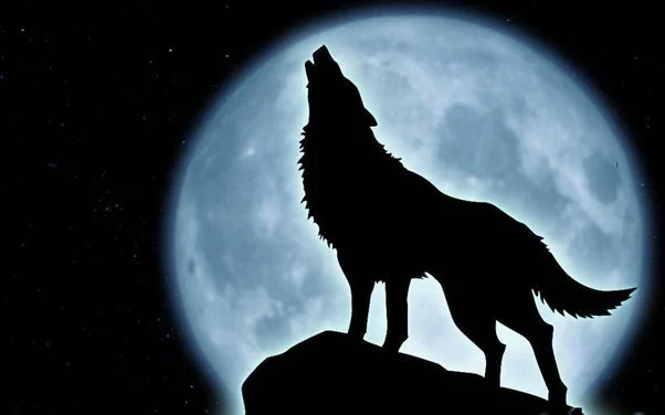 ‘Memories’ and ‘Howling at the Moon’
