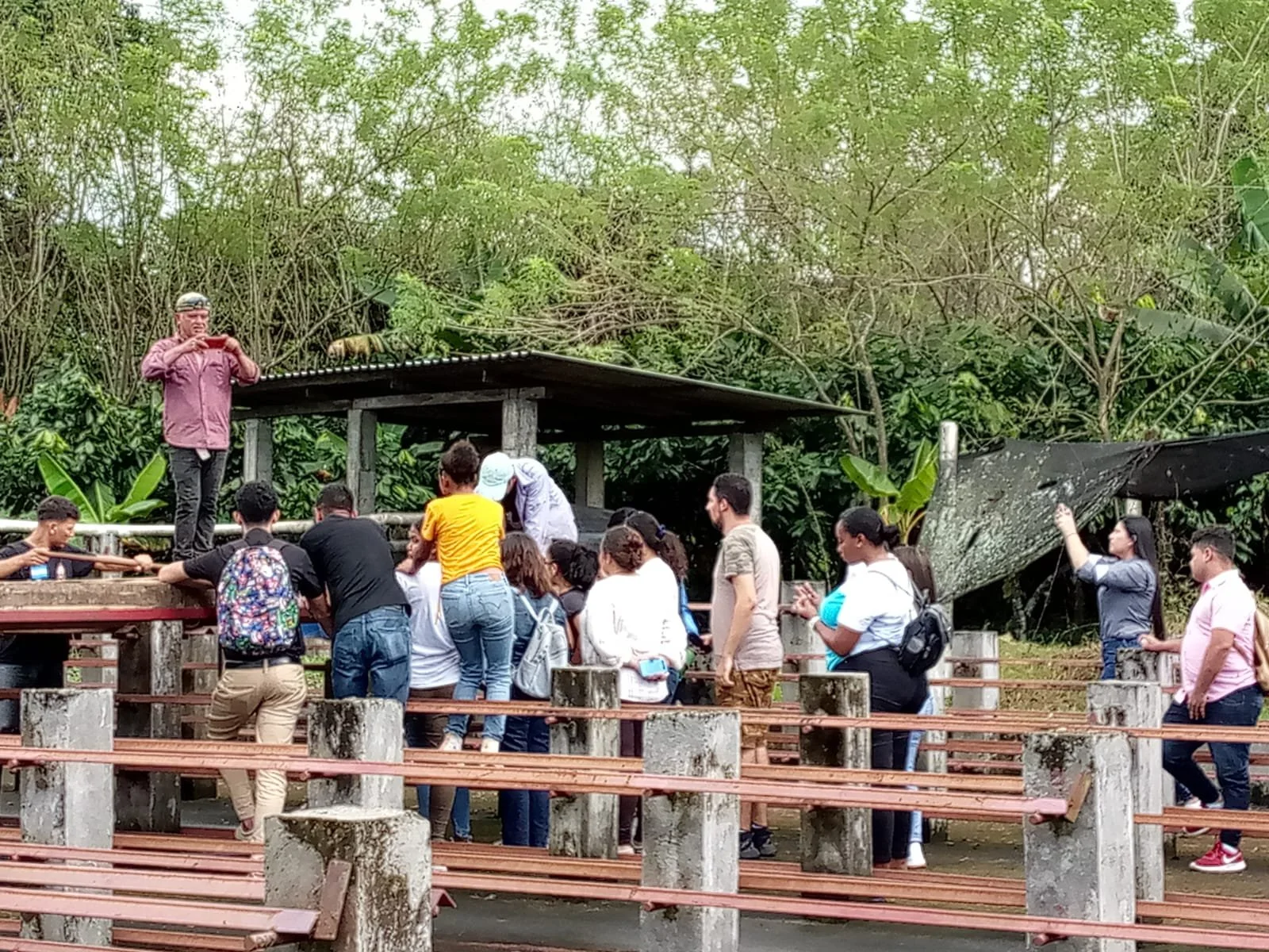 Gruppe mennesker i udendørs område med træer i baggrunden. En person tager et billede eller video med en enhed.