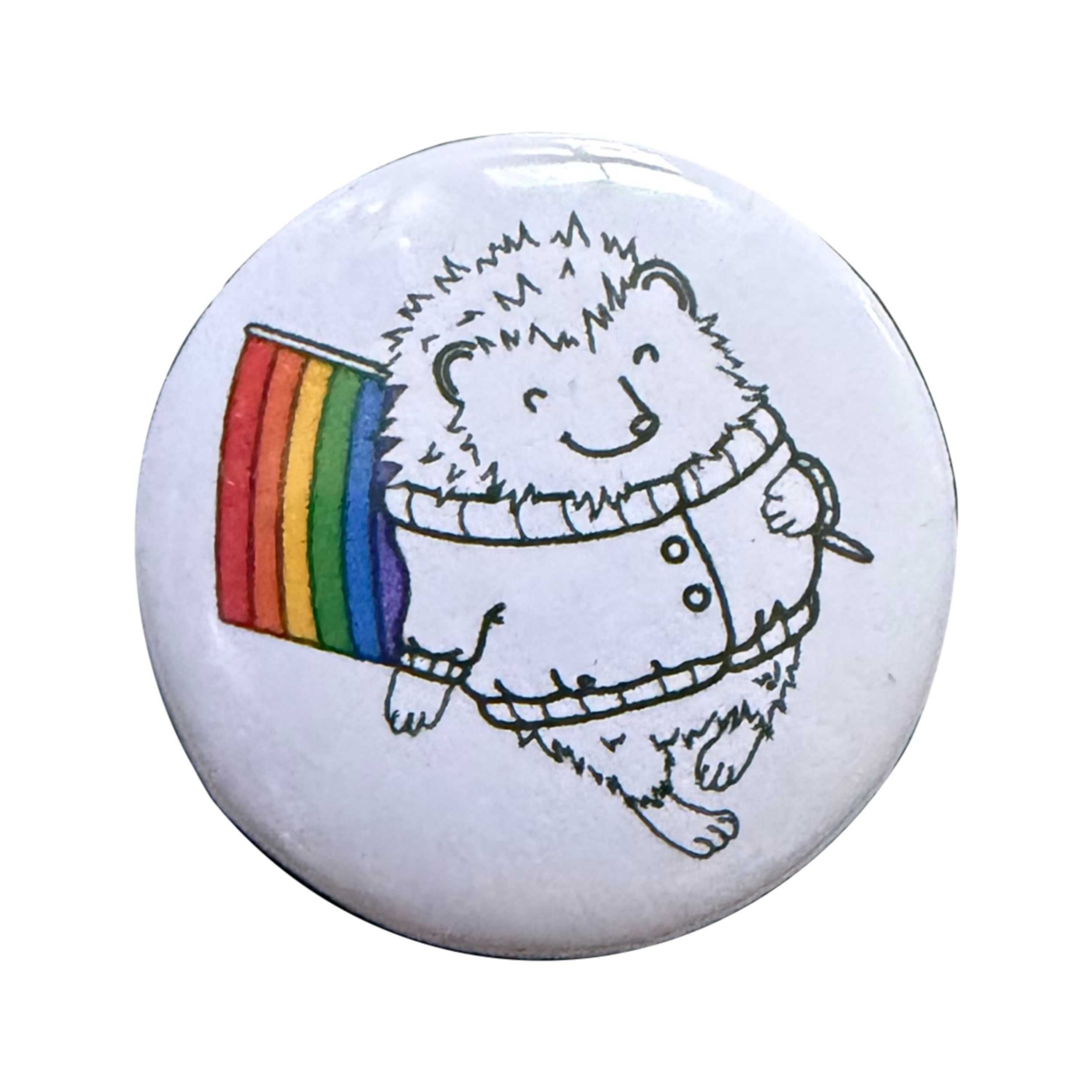 Rainbow Quilliam Pin