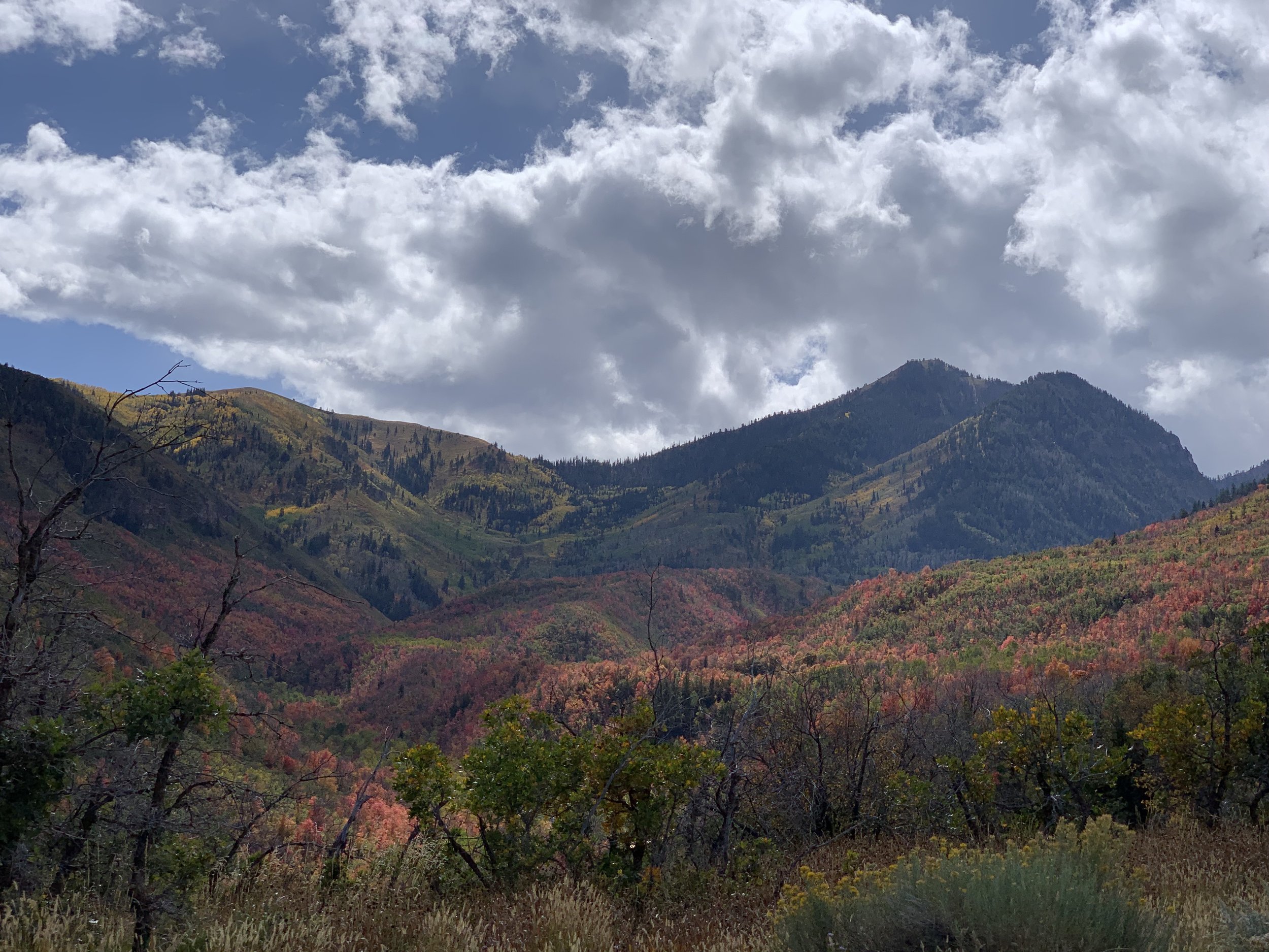 The Setting of Cloud Bear