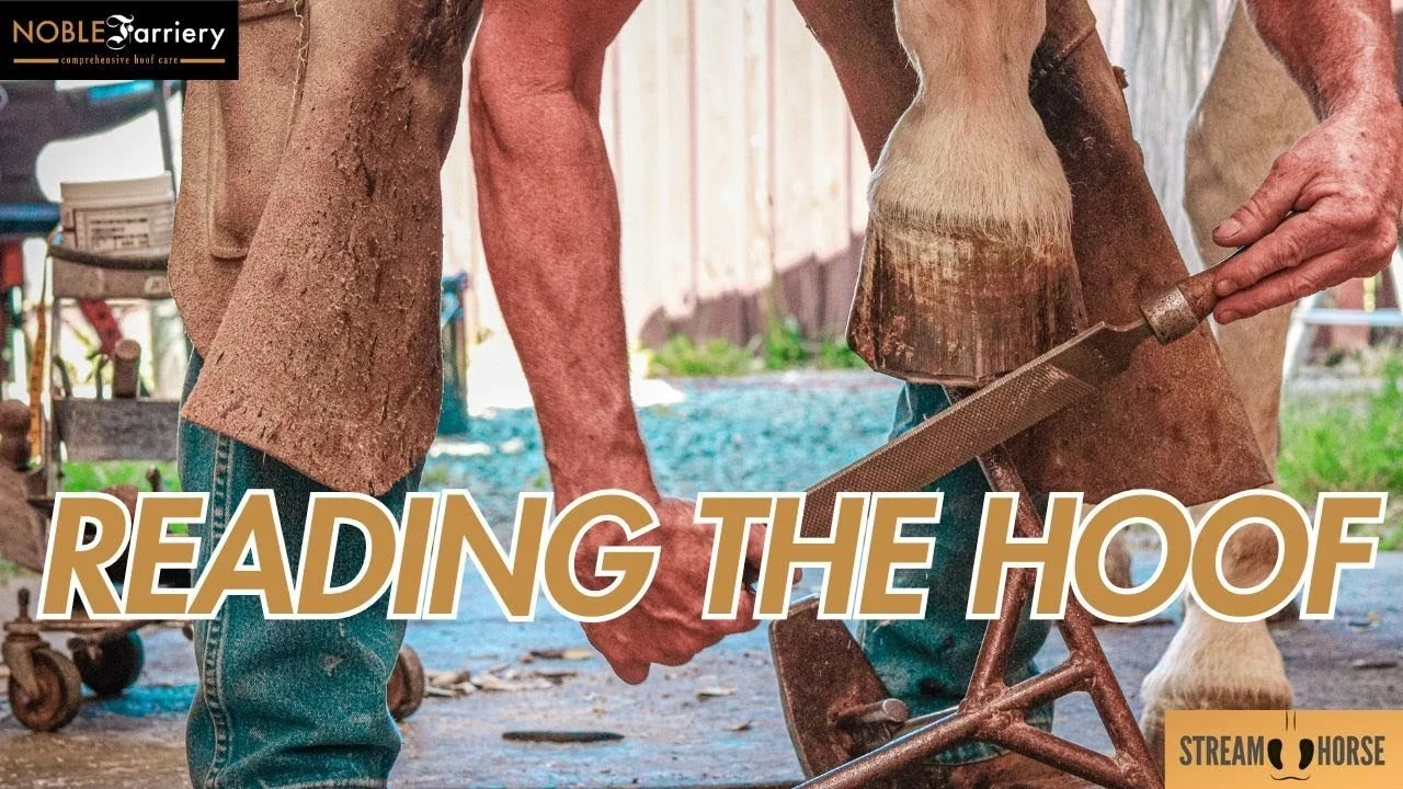 Do You Know Where You Are In The Hoof?