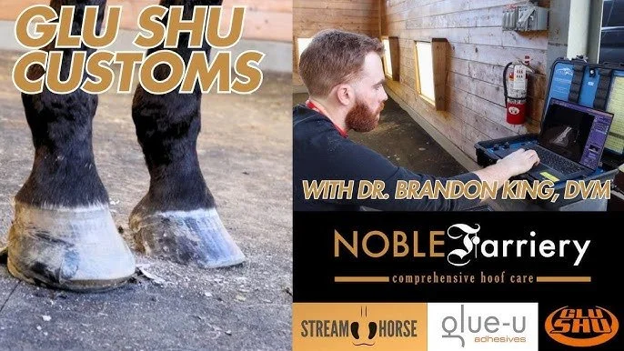 New on YouTube: Building Custom Glu-Shus For A Horse