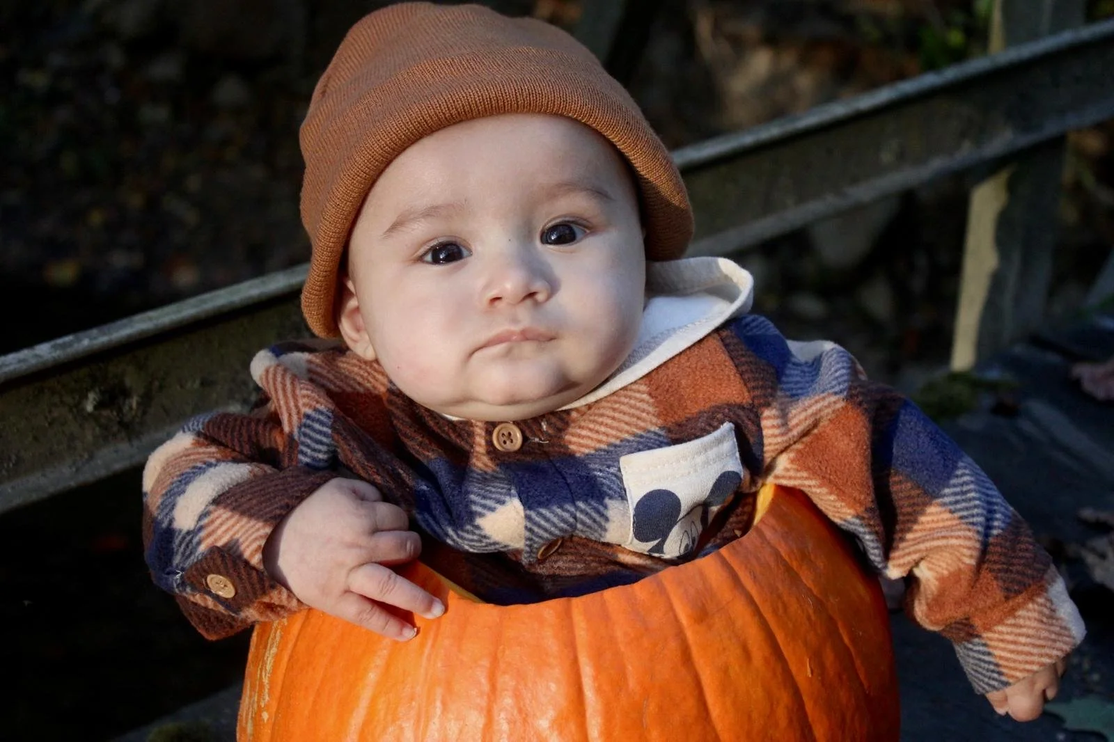 WhatsApp Image 2024-12-22 at 11.58.10 PM.jpeg