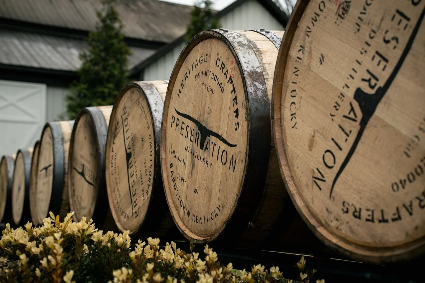 I&rsquo;m about ready to go back to Kentucky for round two of all things bourbon. Anybody want to go? 👀🥃

I frequently look back at these shots from our trip shooting with the crew @jaxfilmlab 📸