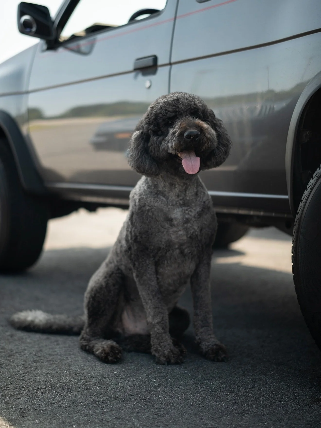 Winston is a big ol&rsquo; four year old today. 🎂🎉 This really is my best friend, and he&rsquo;s been there with me through the best and the worst the last four years has brought. If you&rsquo;ve thought about getting a dog, go ahead and do it. You