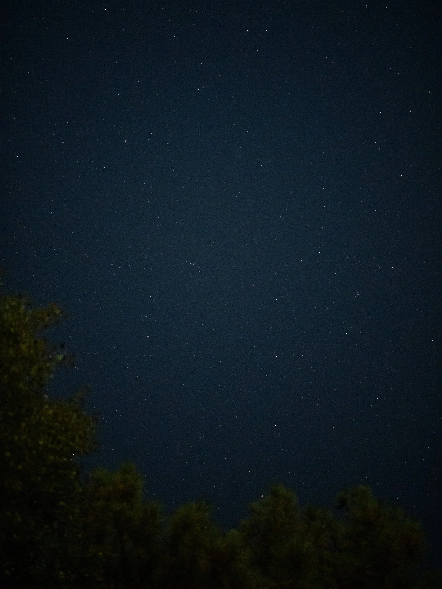 Got in the car leaving the gym tonight and noticed an eerie stillness around me. No cars in the parking lot, barely a street light on, no breeze&hellip;just a dark, cold silence. I looked up and saw more stars in the sky above Jefferson than I&rsquo;