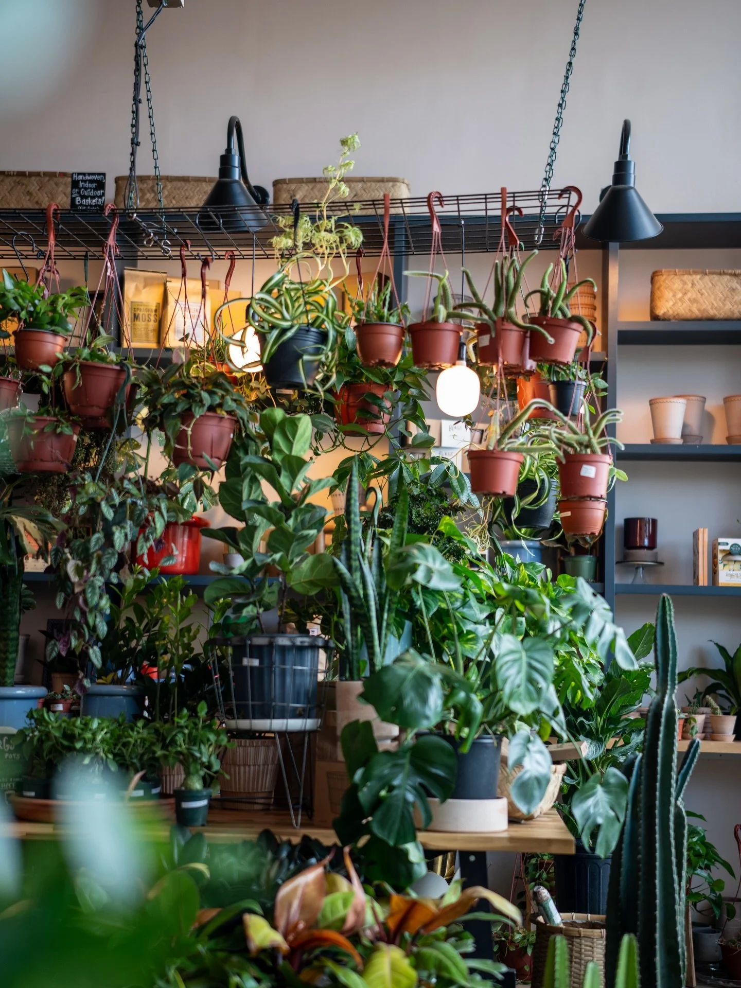 Back in my favorite place with a Bourbon Peach Latte in my hand. ☕️ It really is a Good Friday. 🙏🏼