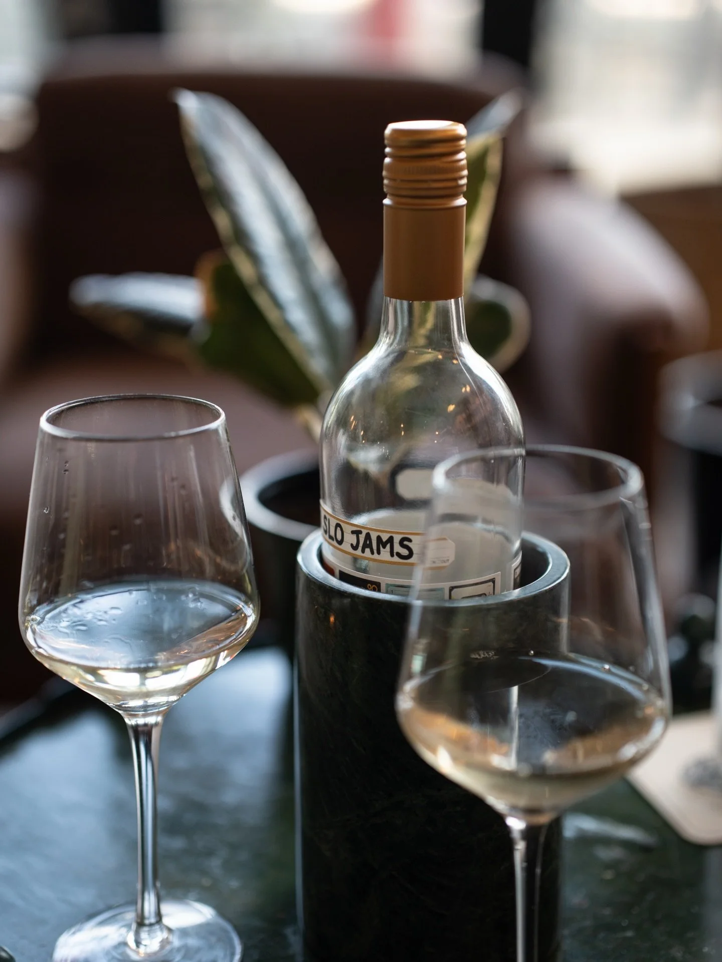 Week with the Jacksonville family was overdue. 🌴🐈&zwj;⬛🍣