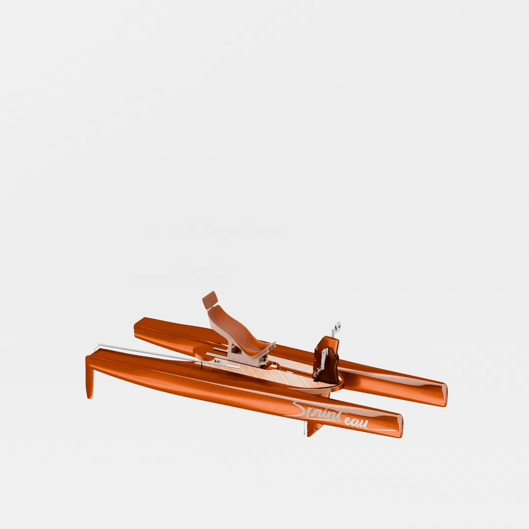 Projet Convertir en GIF.gif