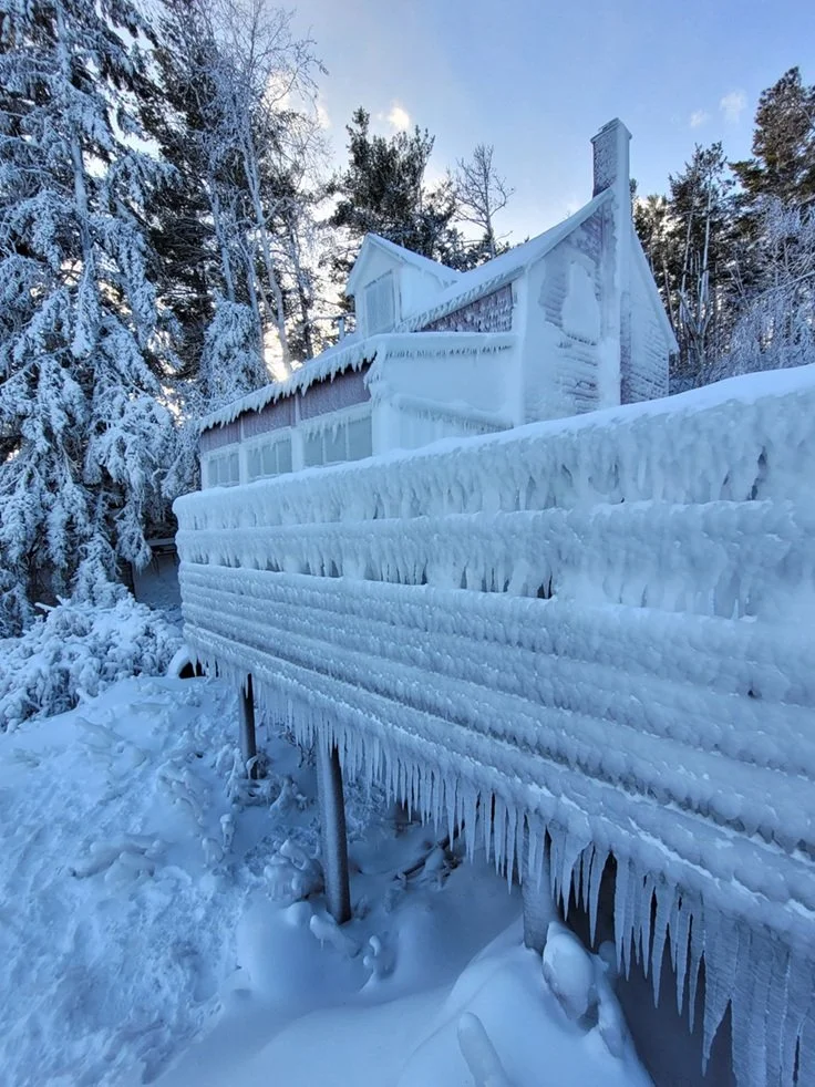49_winter_2026.jpg