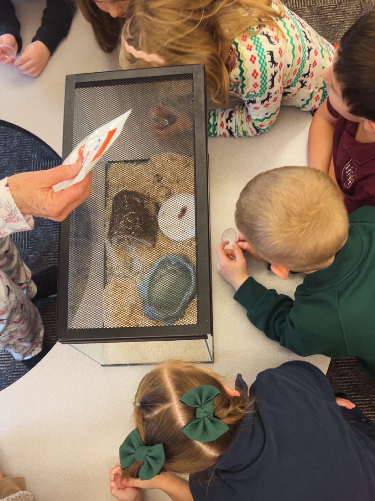 Our 1st graders had an unforgettable day in their study of reptiles! As part of our science lesson, a special guest joined the classroom&mdash;a real pet snake 🐍

Students were able to observe the snake up close while learning about reptile characte