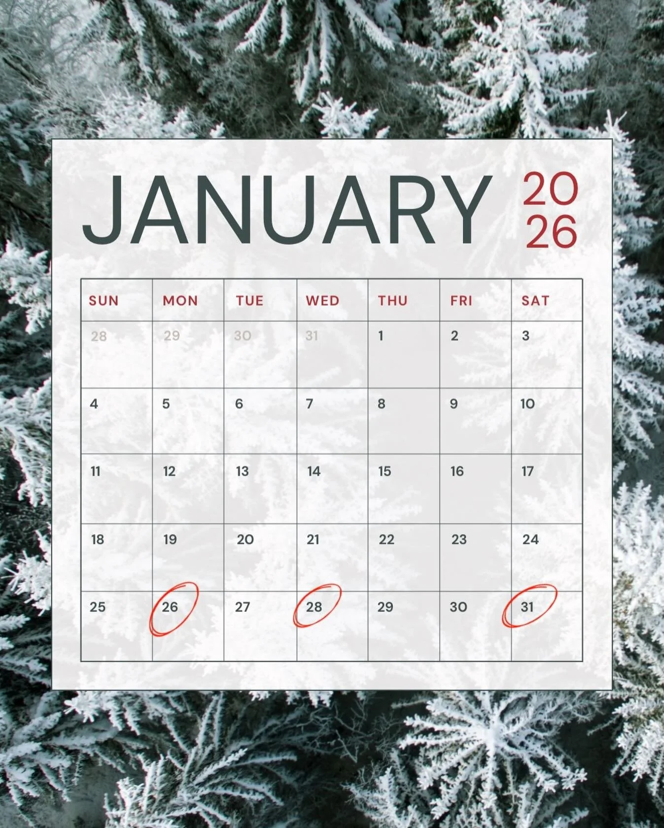 📅 A Look at the Rest of January at HHCA

Here&rsquo;s what&rsquo;s coming up as we close out the month:

✨ Monday, 1/26
📖 3rd/4th Combined Class History Night

✨ Wednesday, 1/28
🏫 Information Meeting for Prospective Families

✨ Saturday, 1/31
📚 P