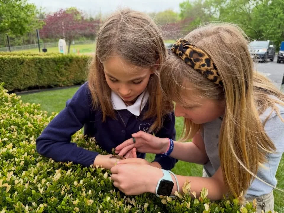At Headington Hill Classical Academy, we released butterflies in 4th grade science 🦋

The students got to witness the final stage of the butterfly life cycle up close and then release them into the world, watching as each butterfly took flight.

A s