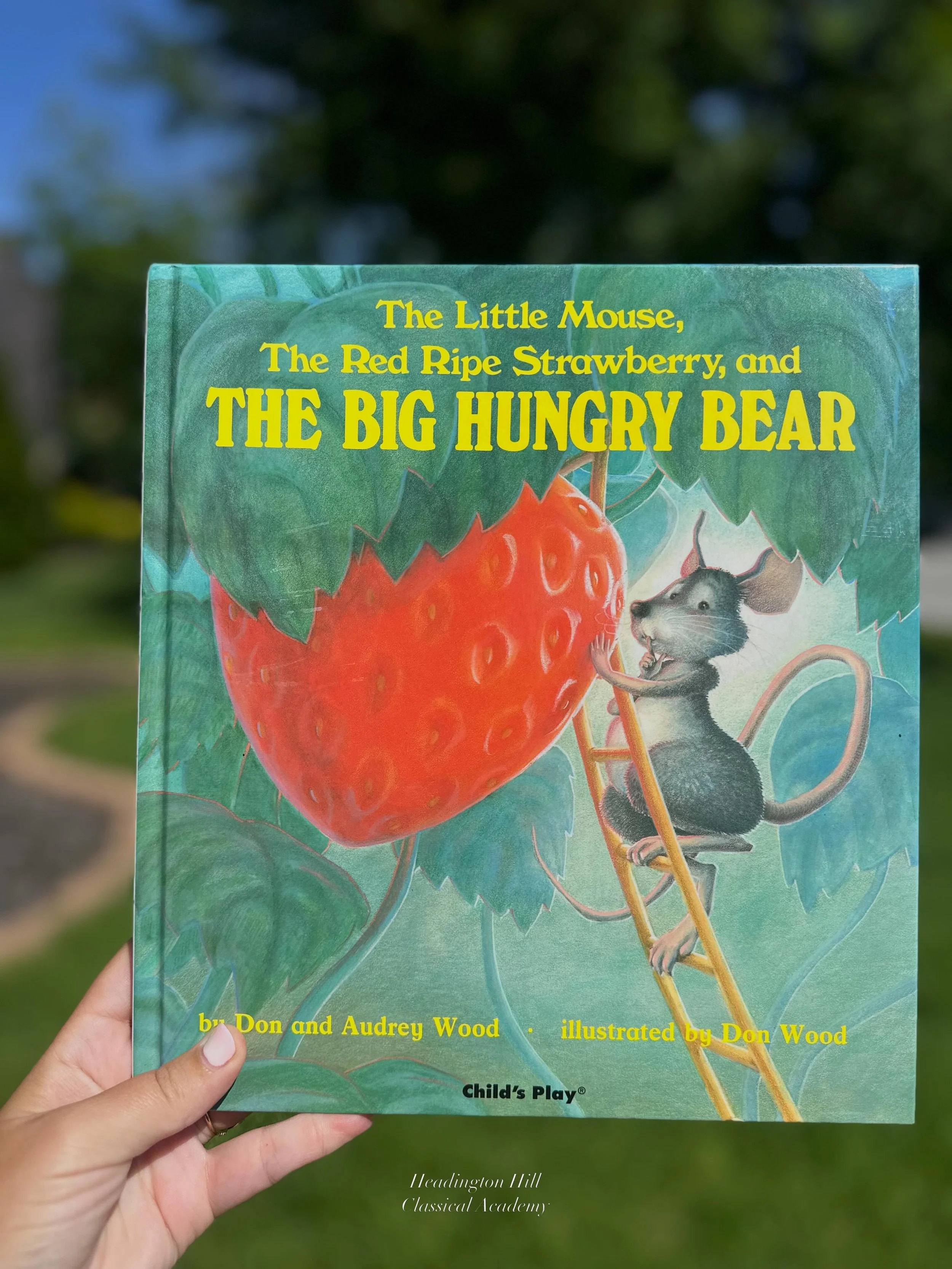 Summer has arrived in the Ozarks, school books are tucked away for the season, and it&rsquo;s the perfect time to slow down and enjoy simple family adventures. 🍓☀️

One of the sweetest traditions this time of year is strawberry picking. The fields a