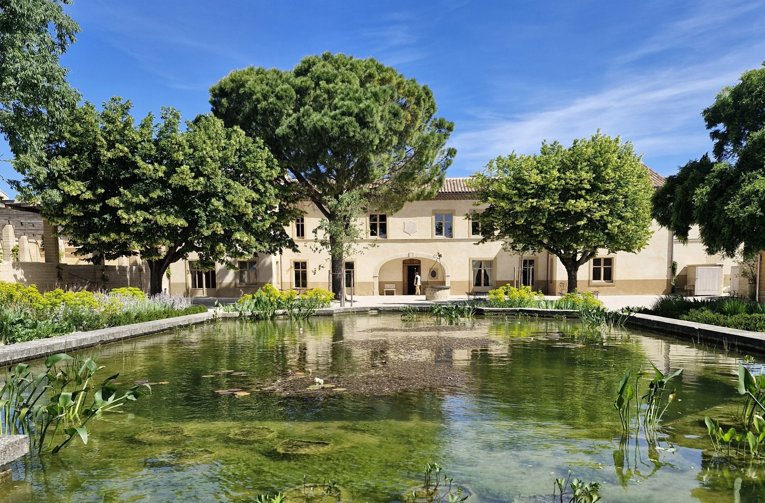 provence_01_sarahtan.jpg
