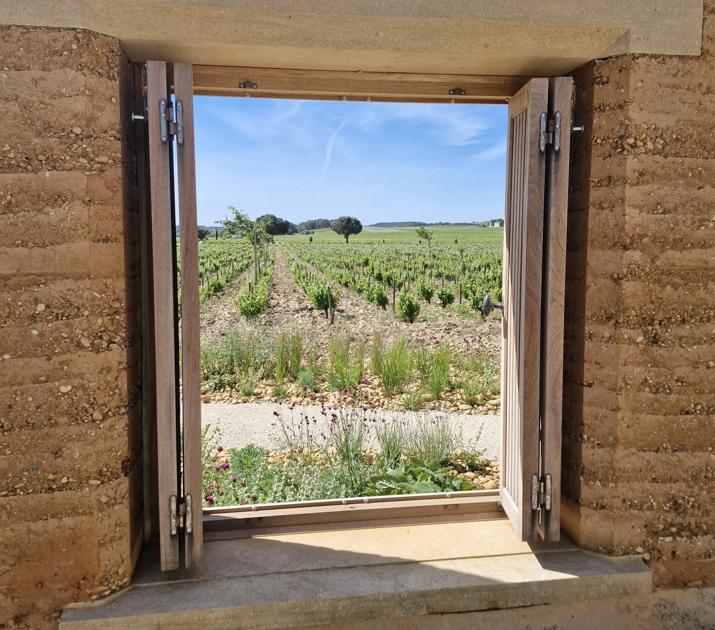 provence_02_sarahtan.jpg