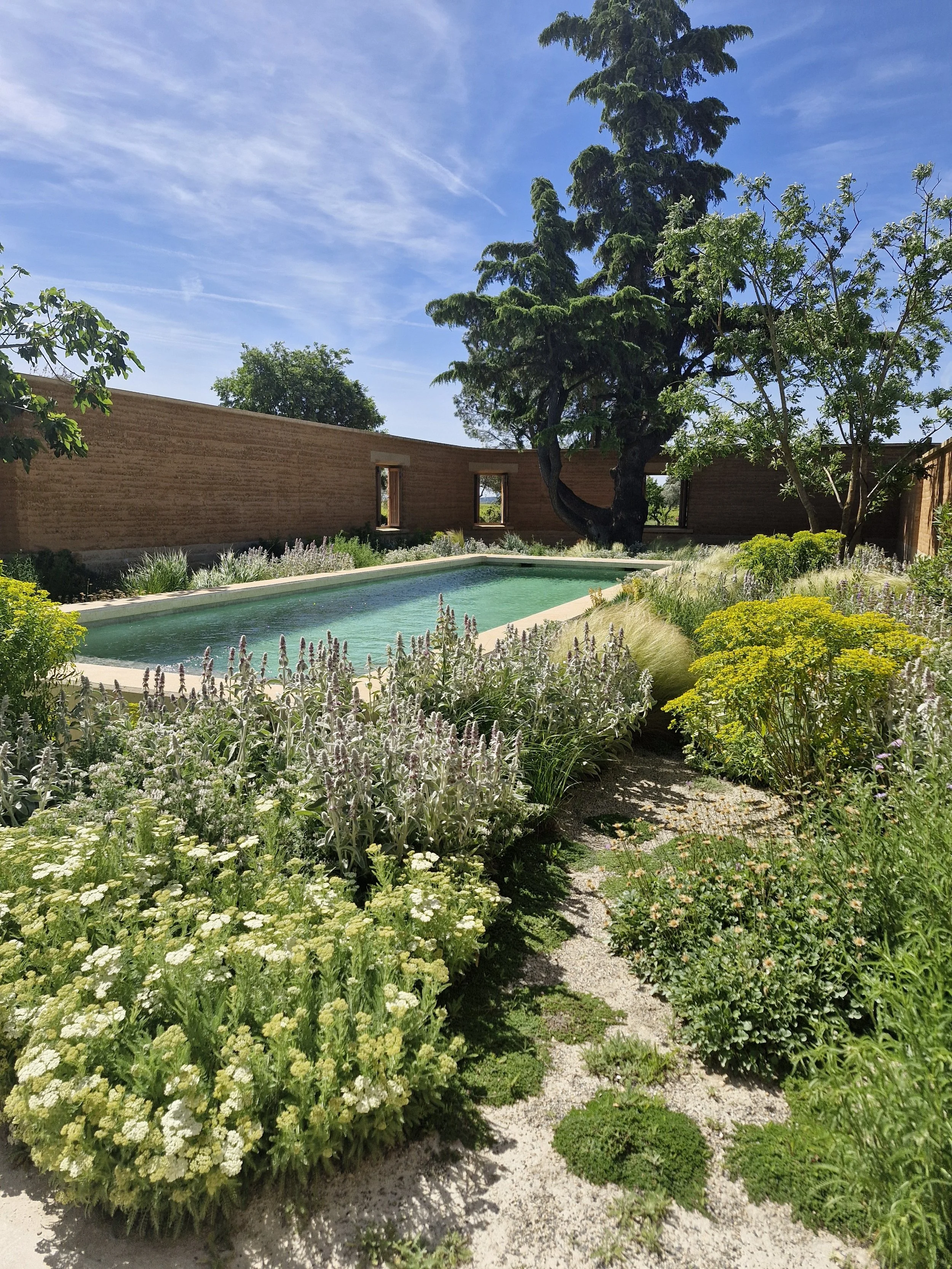 provence_03_sarahtan.jpg