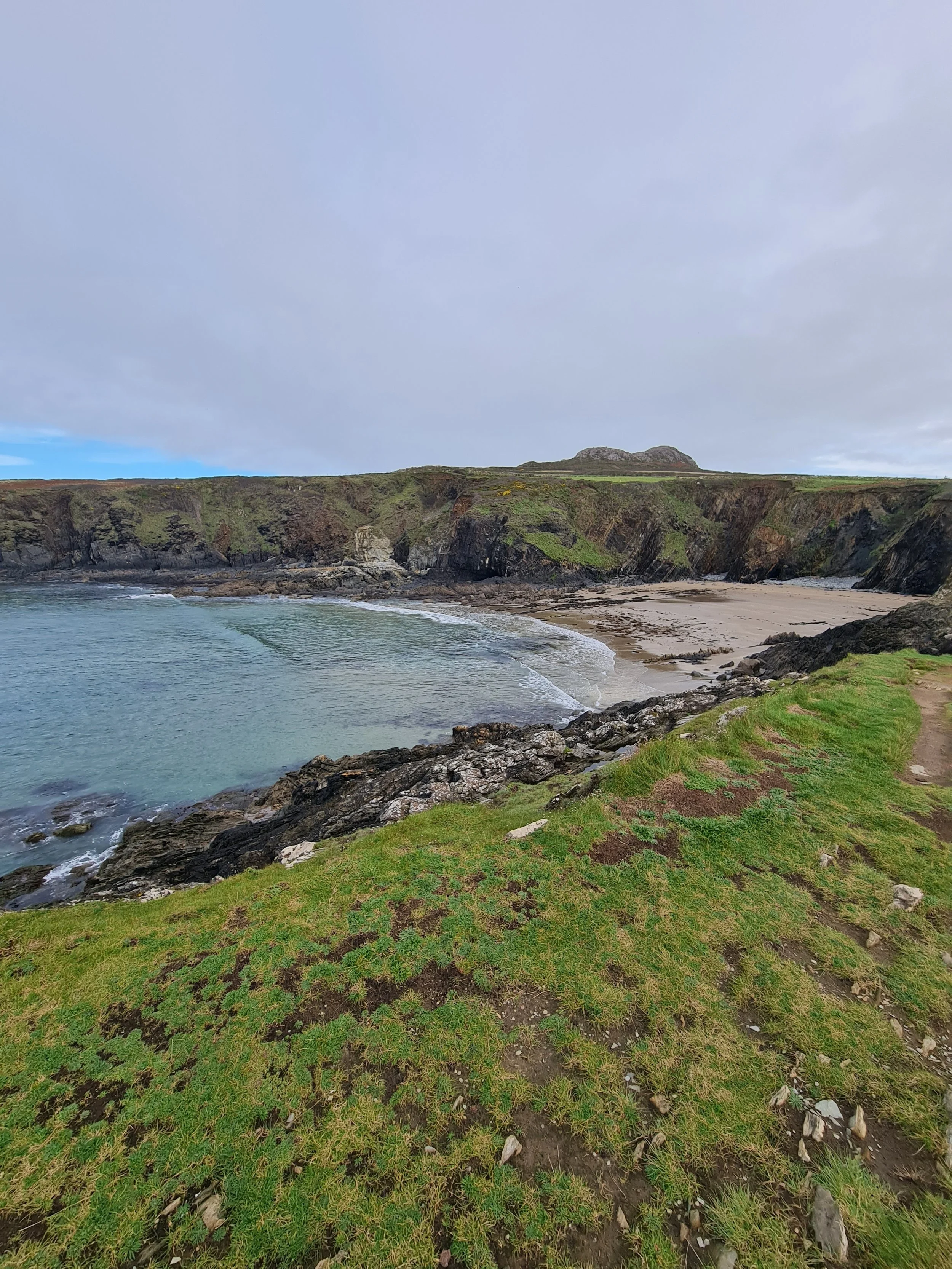 wales_03_sarahtan.jpg