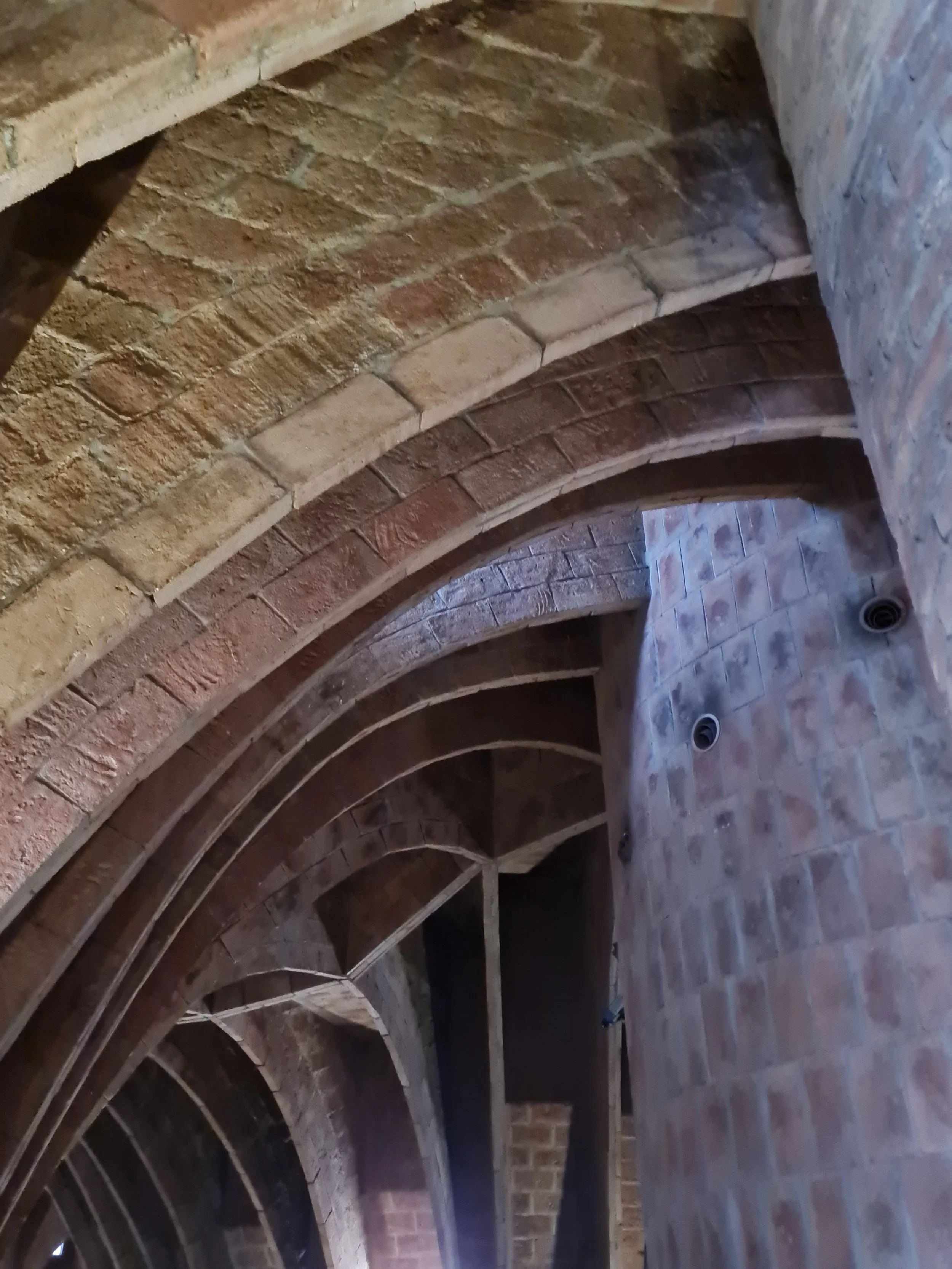 gaudi_02_sarahtan.jpg