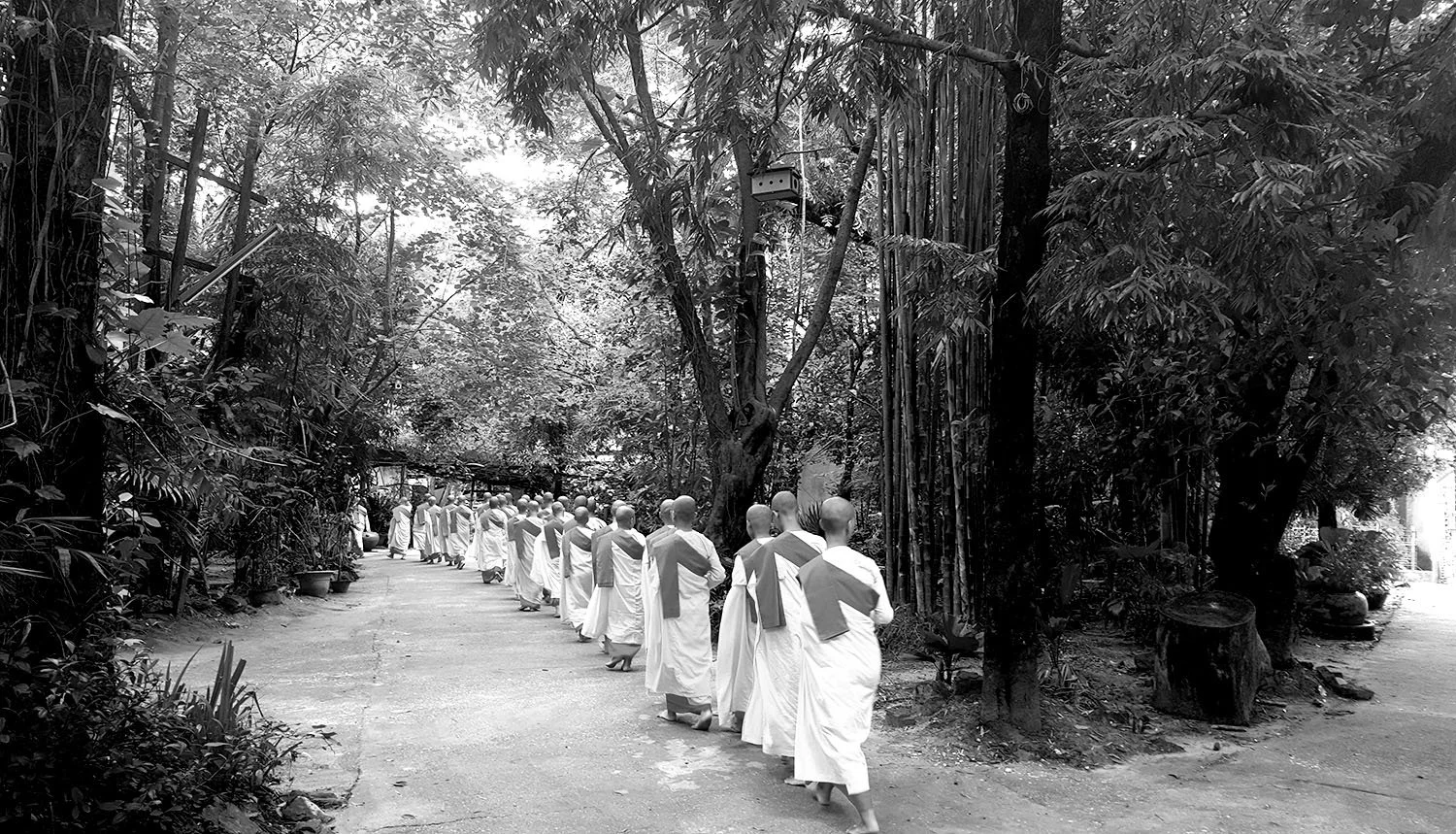 Nuns, Myanmar