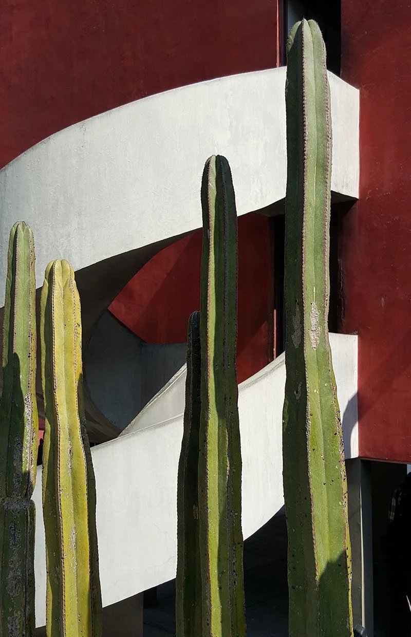 Diego Rivera's House, Mexico