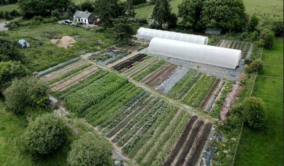 Farm &amp; Market Garden Tour – The Bullaun Ark