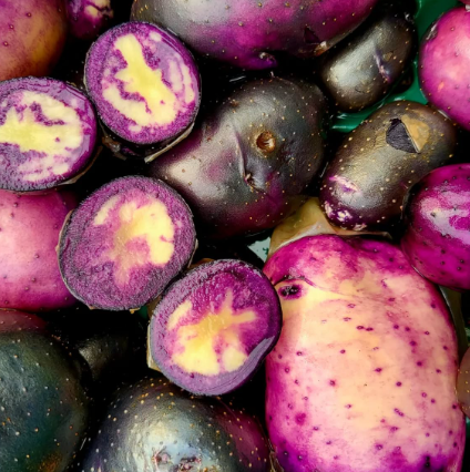 Violetta - Potatoes