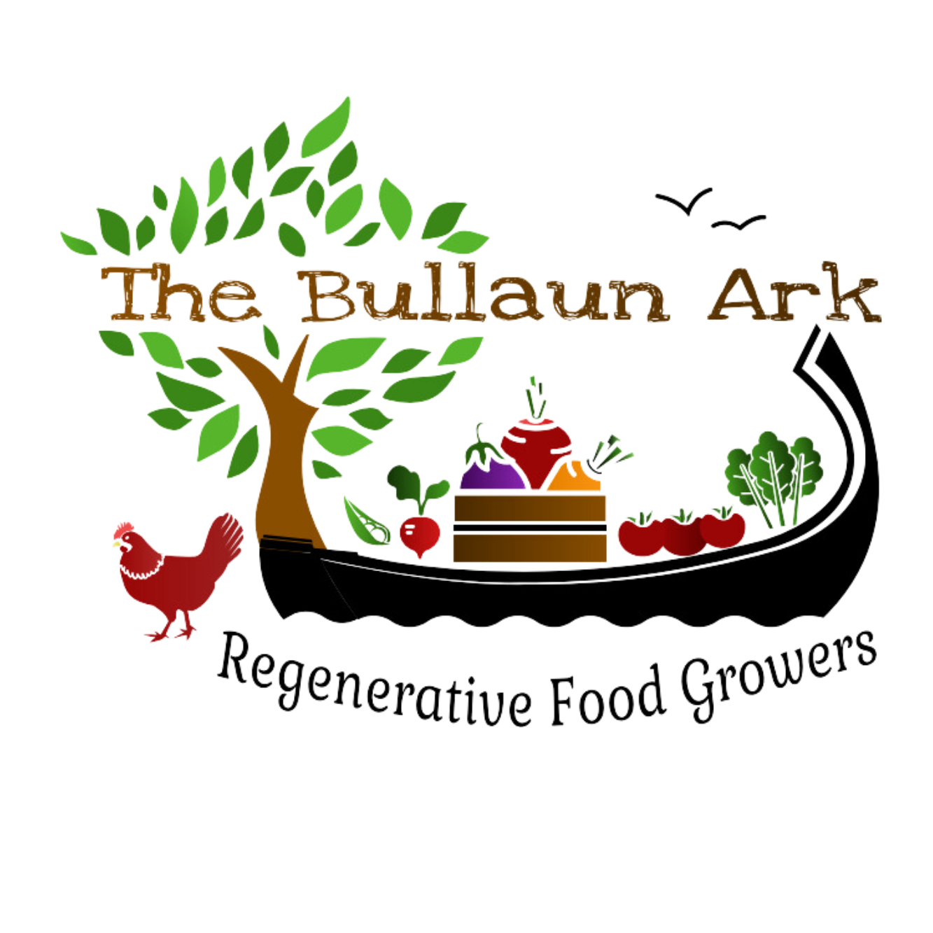 The Bullaun Ark