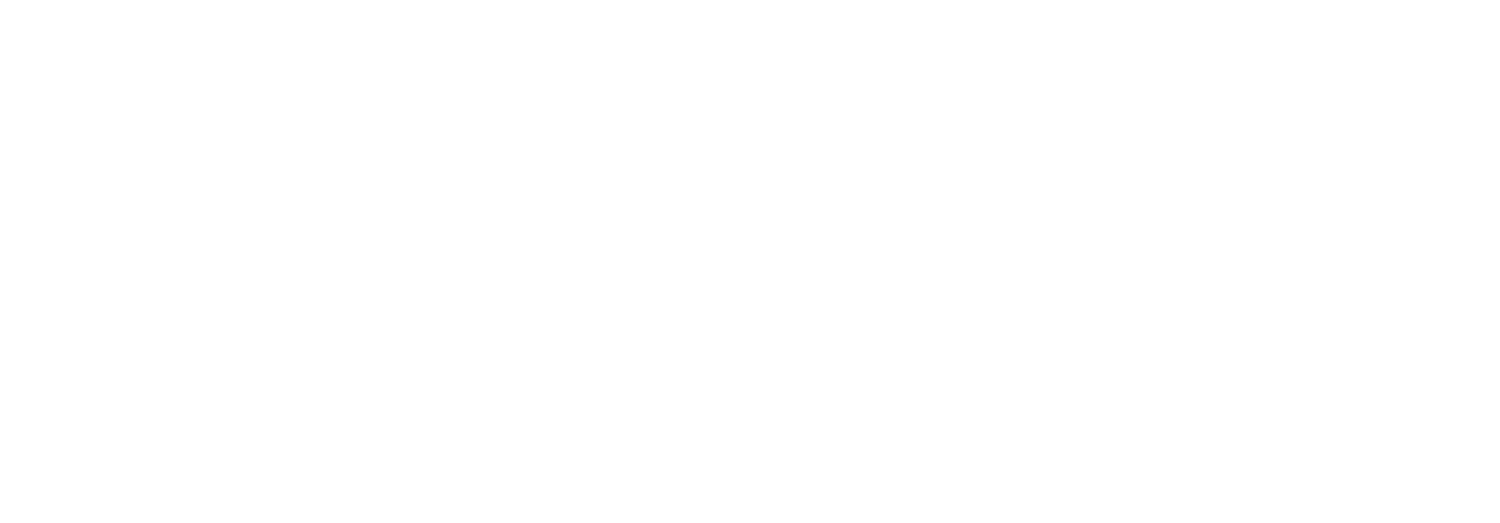 JO GUN
