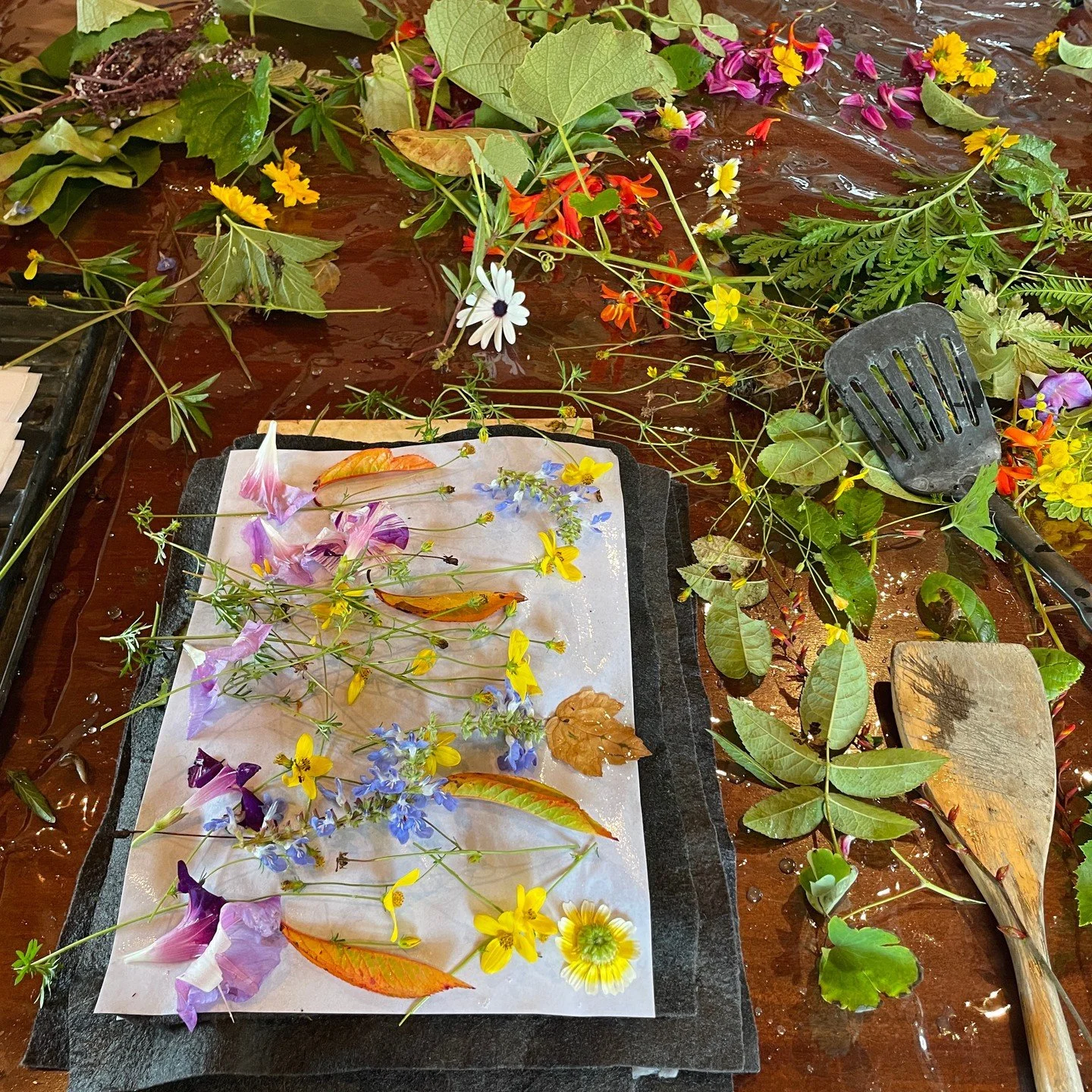 It's been lovely getting back into printing again after taking time out to explore other mediums #botanicalprinting #ecoprintingonpaper #naturaldye #botanicalprintingonpaper #leafprint #journalpages #ecoprintpaper