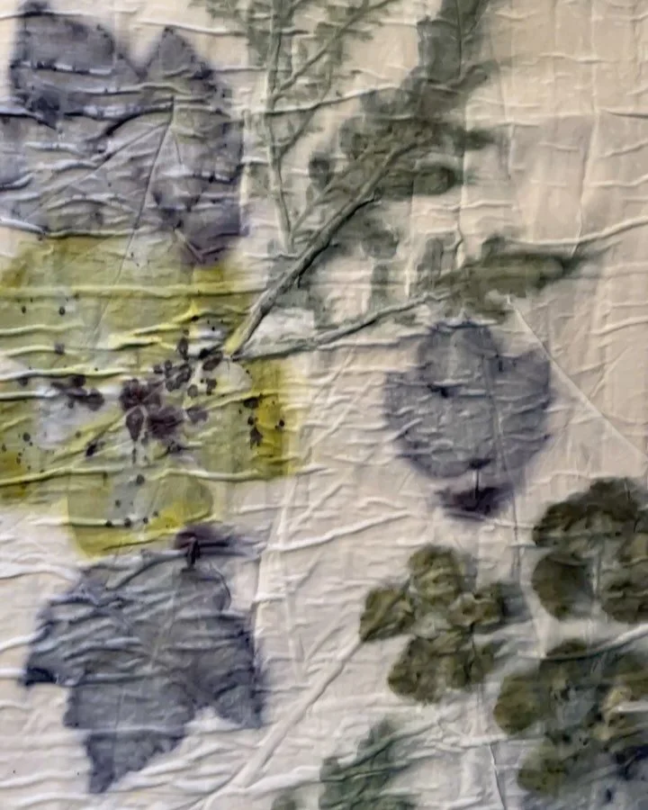 Unveiling a Habotai silk scarf #ecoprint #botanicalprint #habotai #leafprint #naturaldyes ##naturalexpressions #silkscarf #