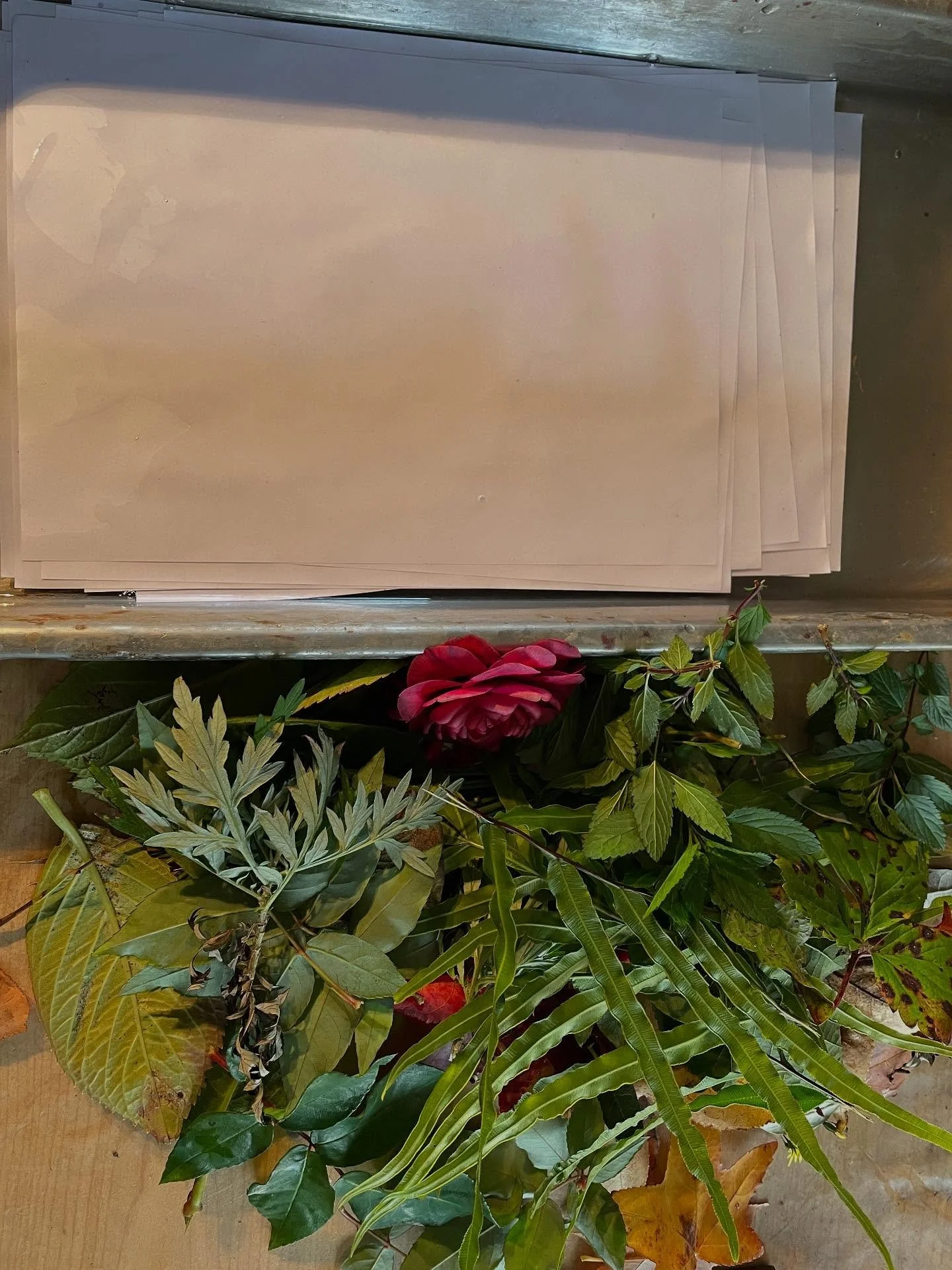 Rainy days = paper printing days&hellip; #ecoprint #paperecoprint #rainydays