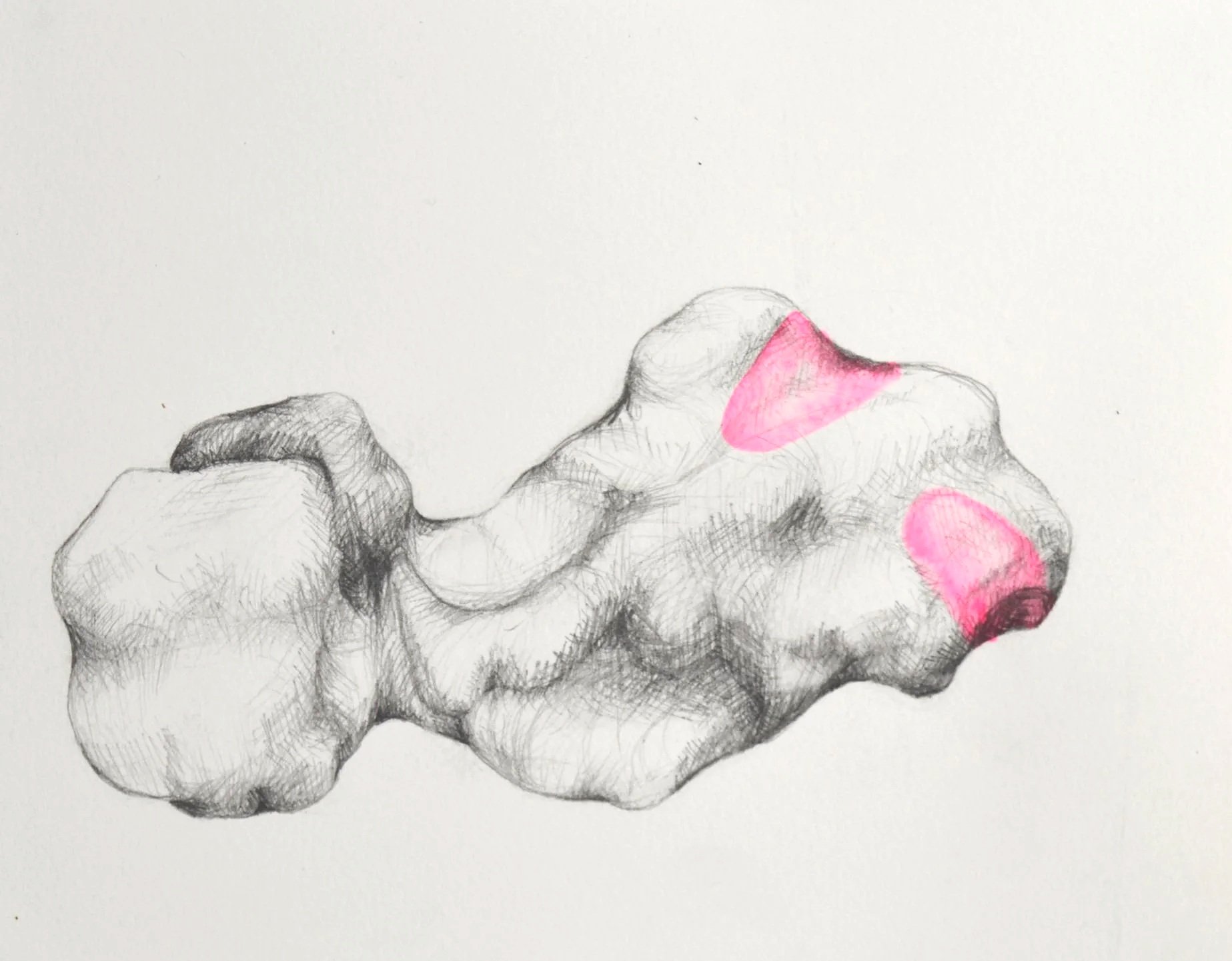 pleasure+mapping+14.jpg