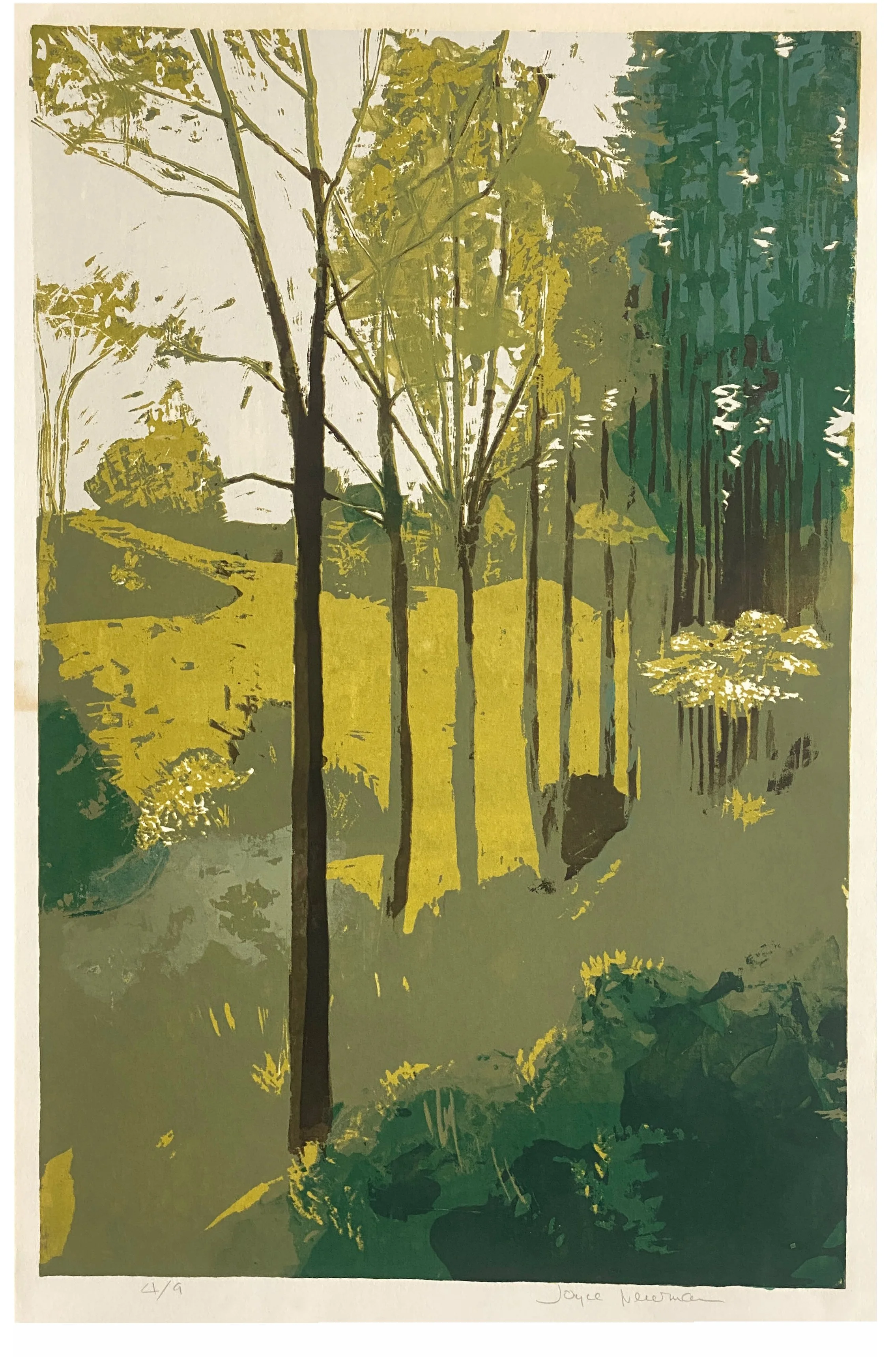 IMG_4556 bottom white.jpg