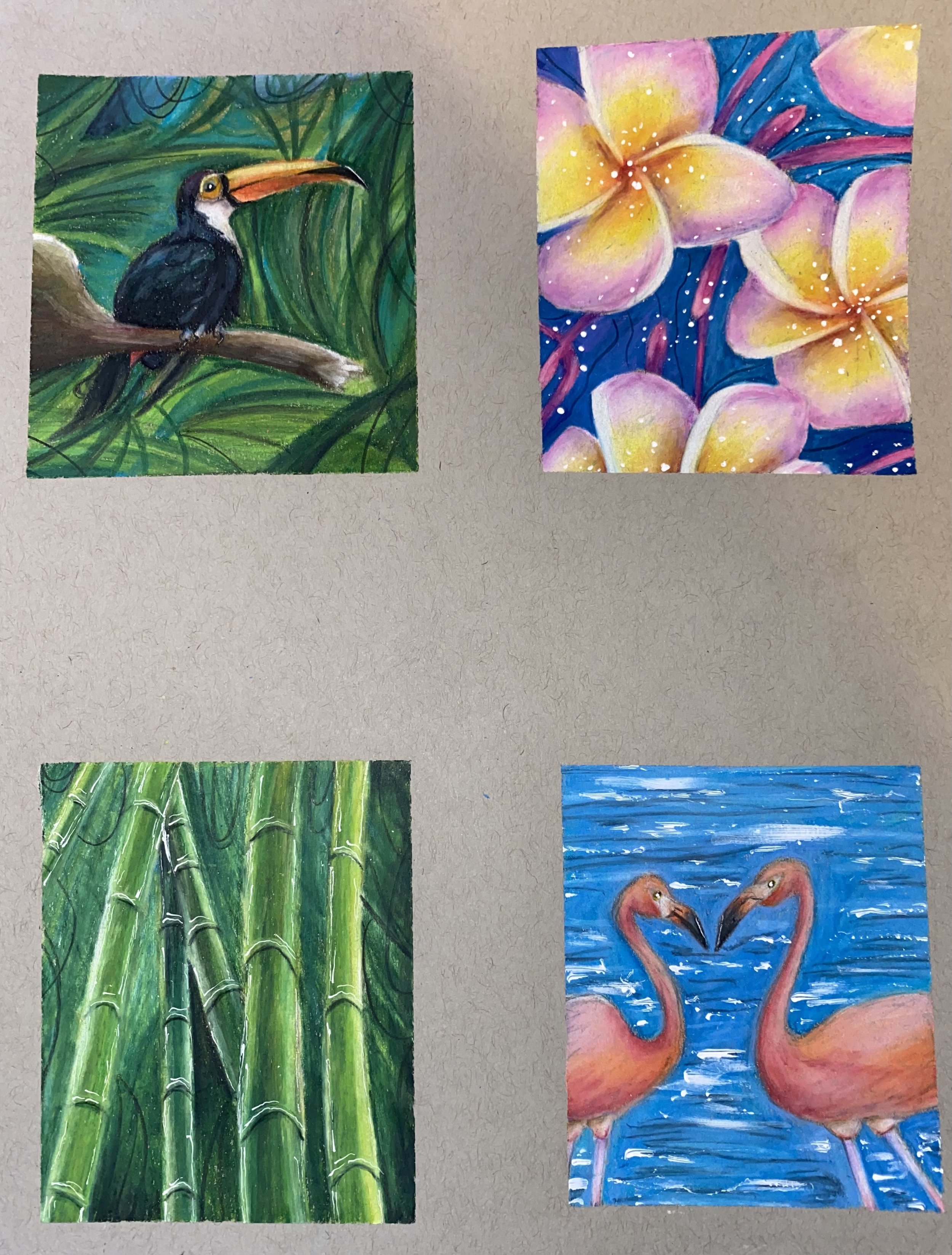 colored pencil study.jpg