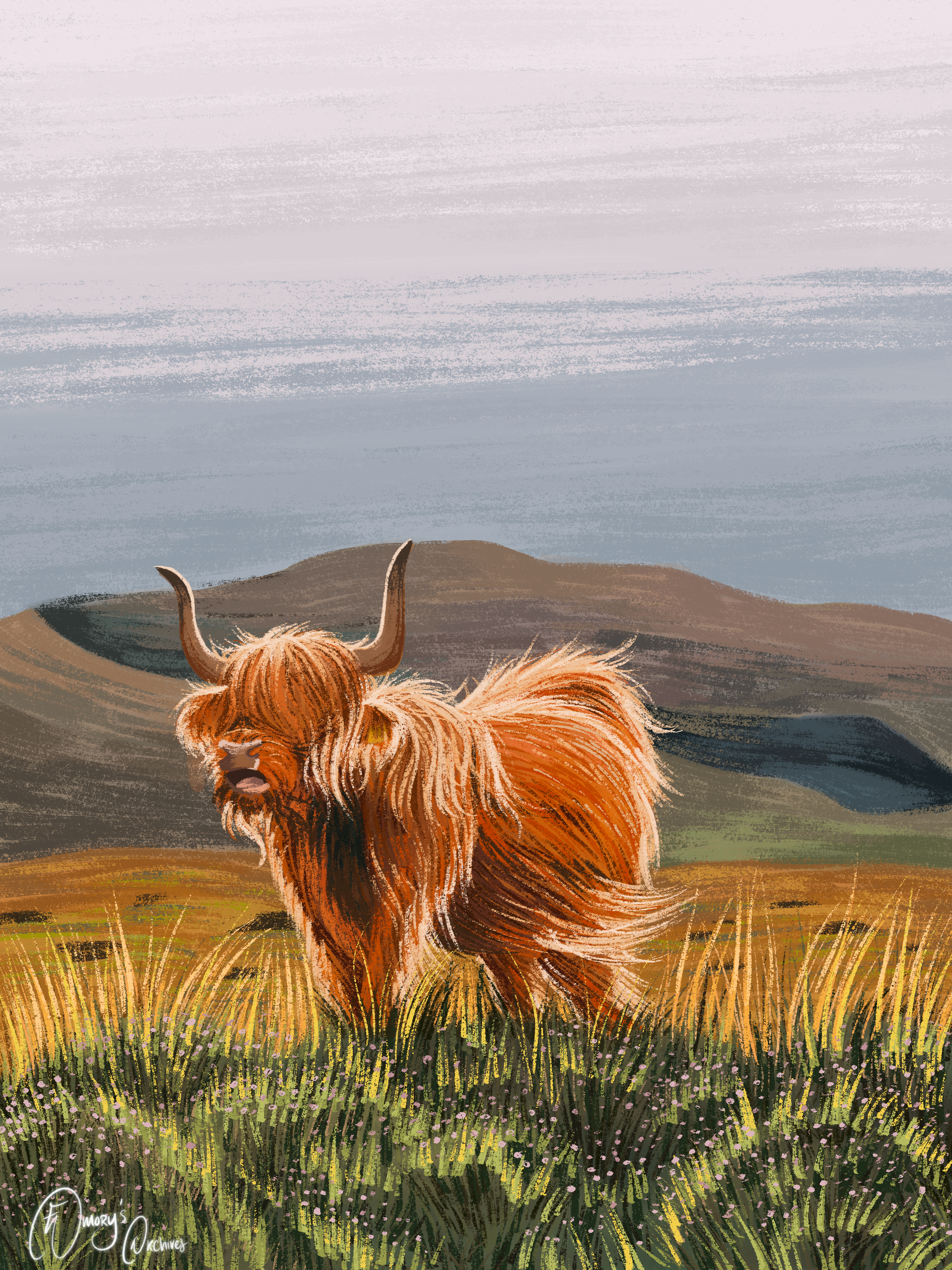 Highland Cow_.png