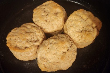 Vegan Butter Whole Wheat Biscuits