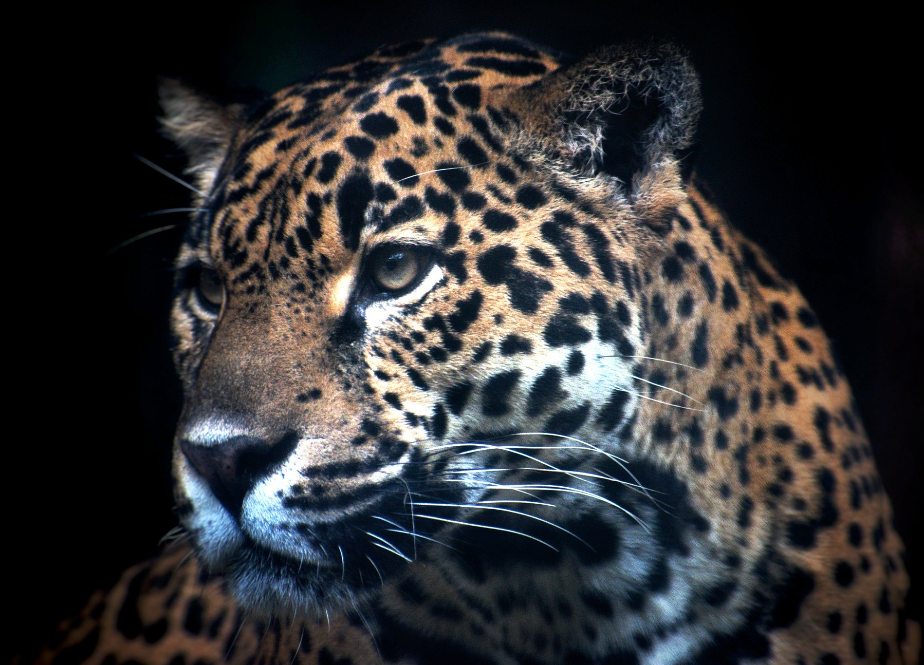 DSC_1412-01.jpeg