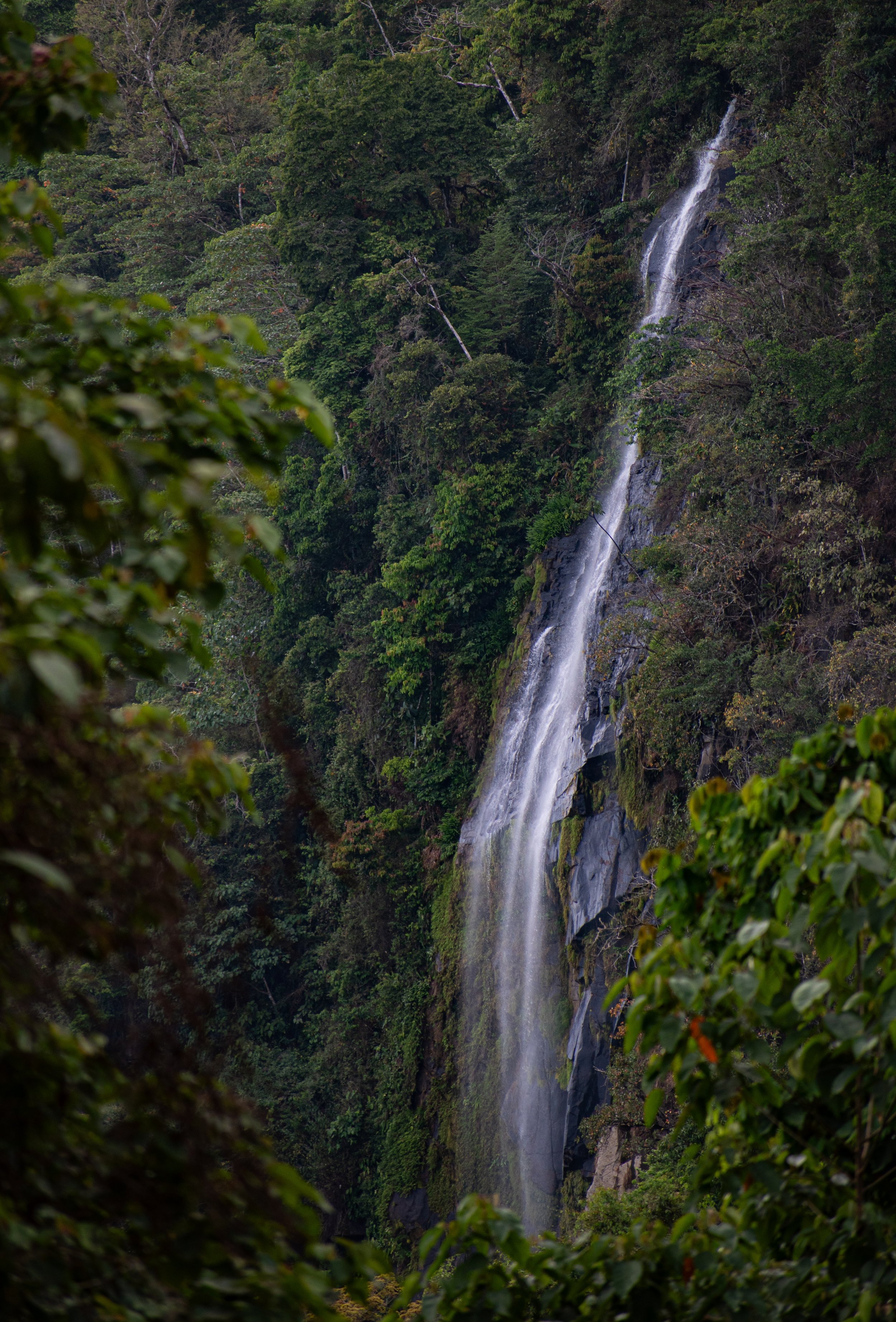 DSC_2337.jpg