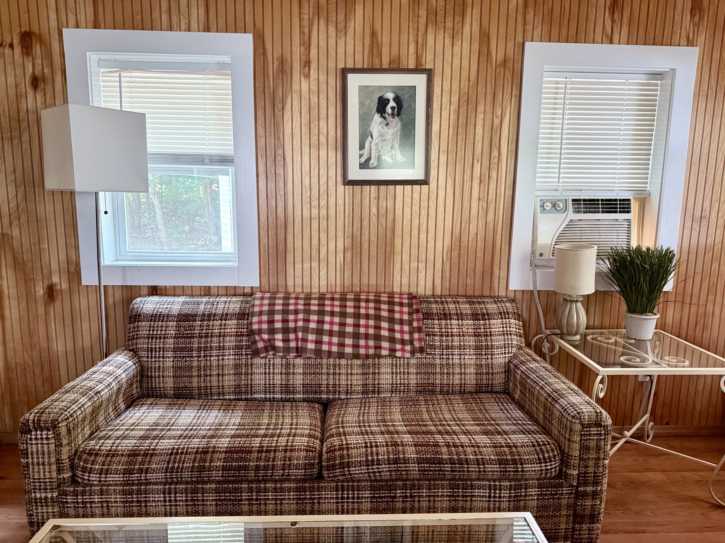 Living room with wood-paneled walls, a plaid sofa, two windows with blinds, a framed dog portrait, a white side table with a lamp and potted plant, and an air conditioning unit.