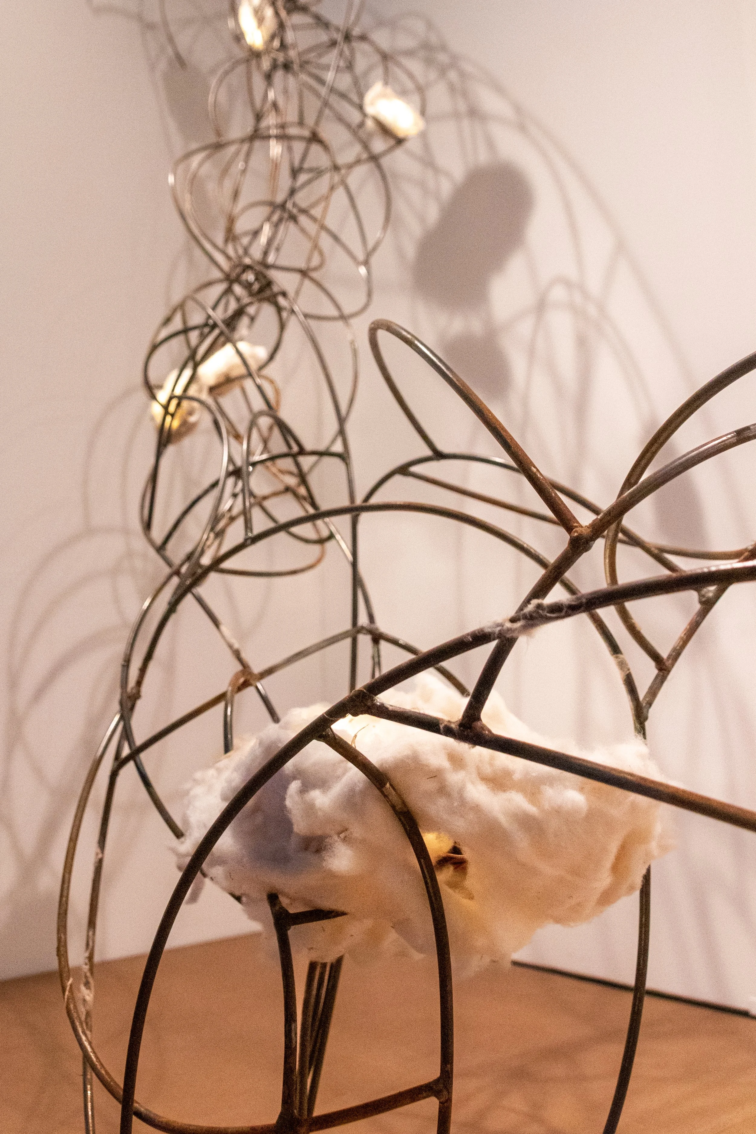 All photos by Dannie Lane, 2026.