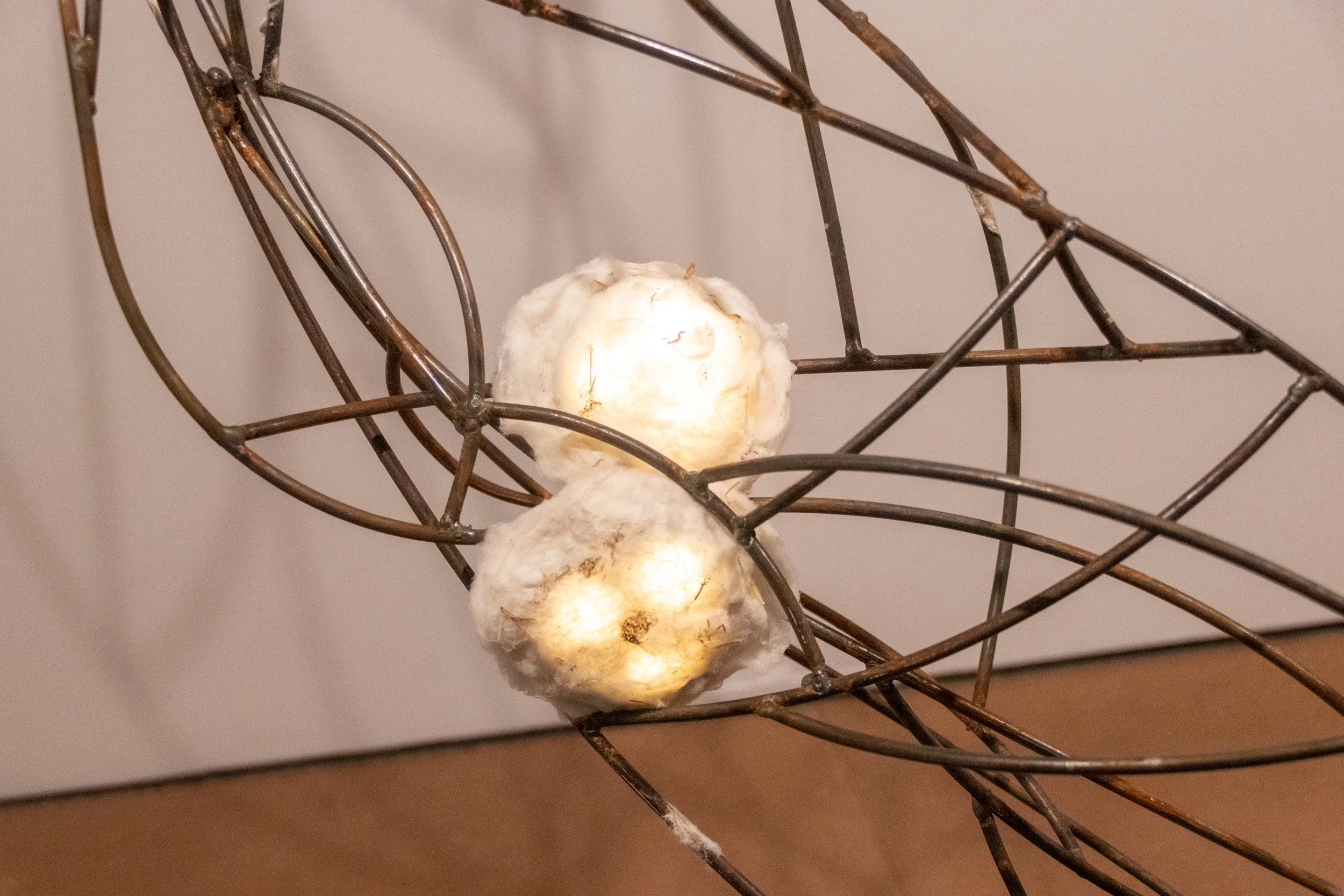 All photos by Dannie Lane, 2026.