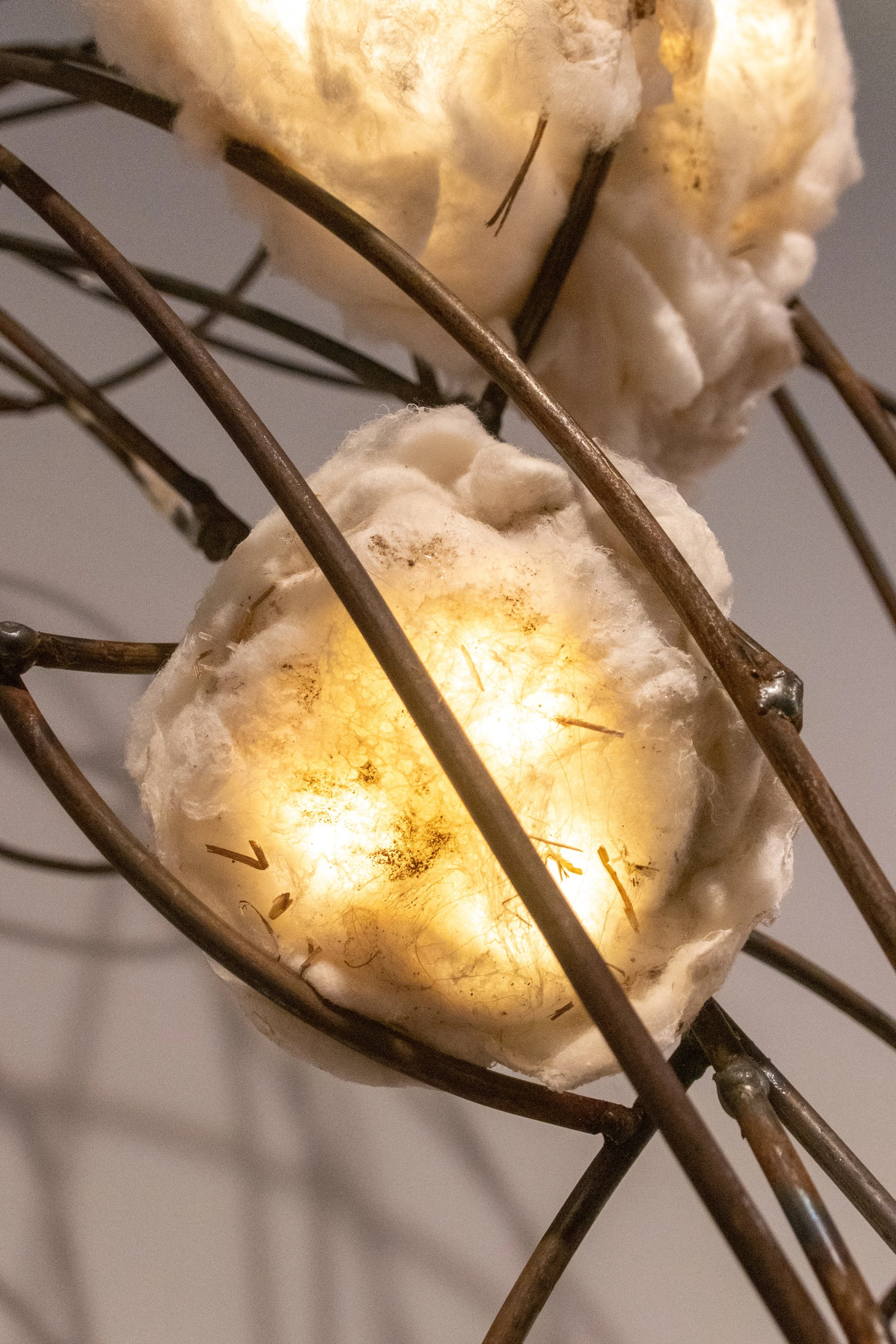 All photos by Dannie Lane, 2026.